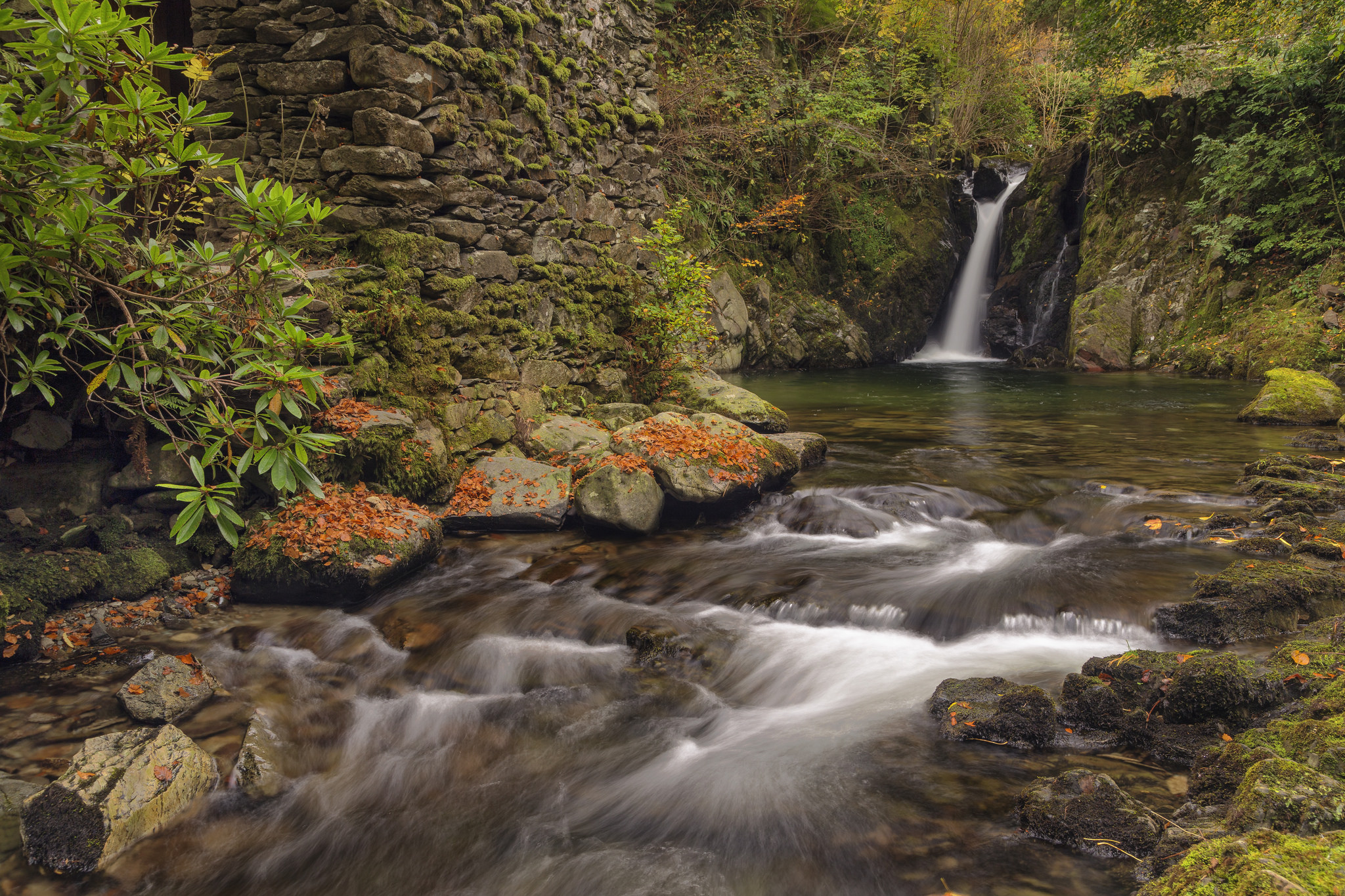 溪流和瀑布在秋天