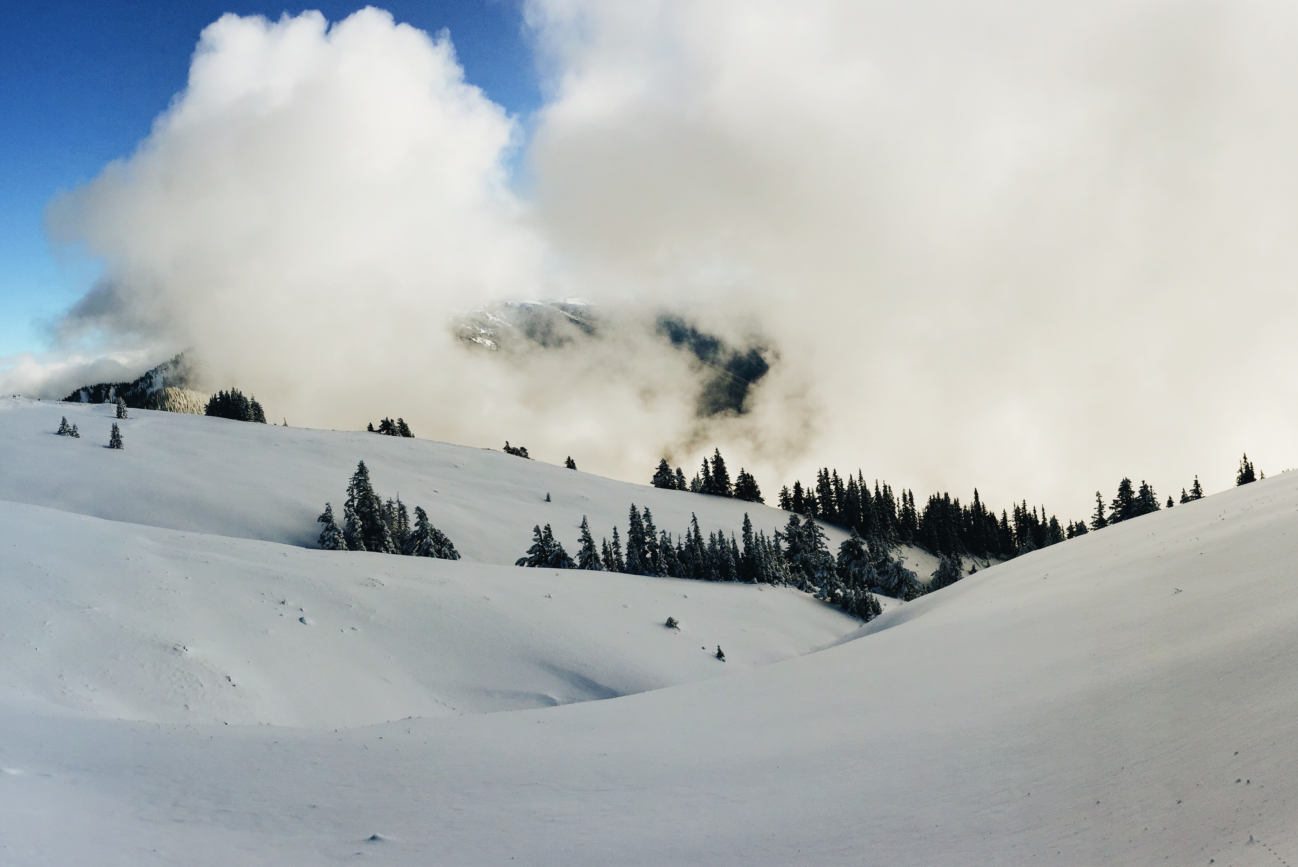 免费照片高山滑雪之旅