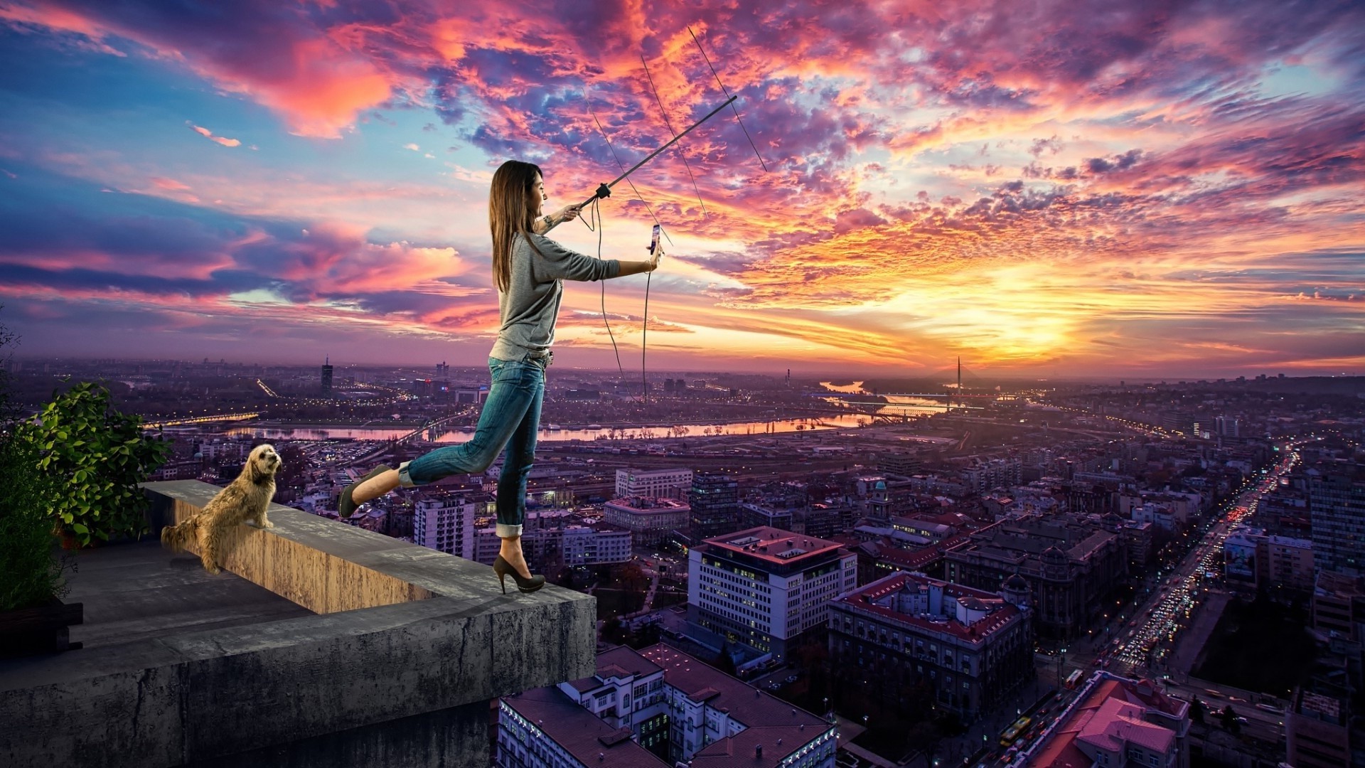 Обои животные антенна мост на рабочий стол