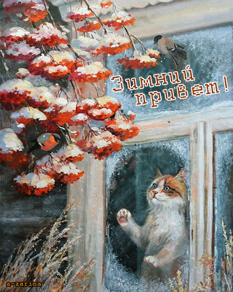 主题为你好 花楸 冬季的明信片免费下载