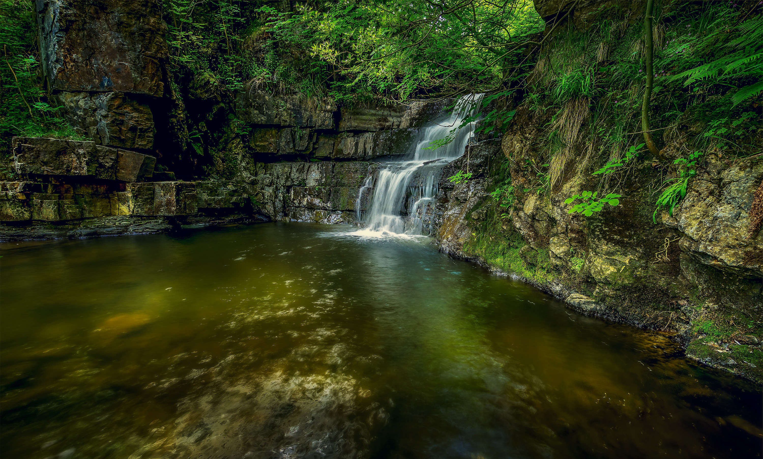 Free photo Watch photo forest, waterfall, rocks for free