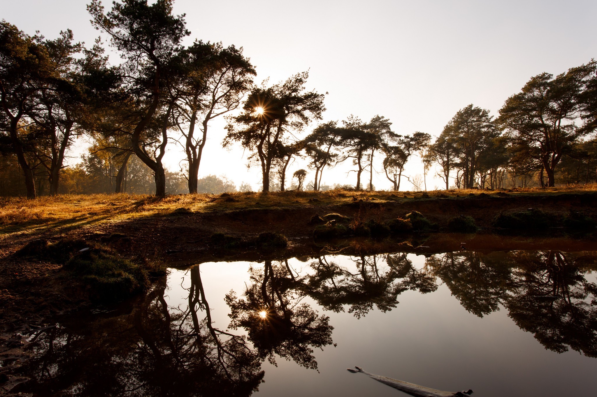 桌面上的壁纸远景 湖 景观
