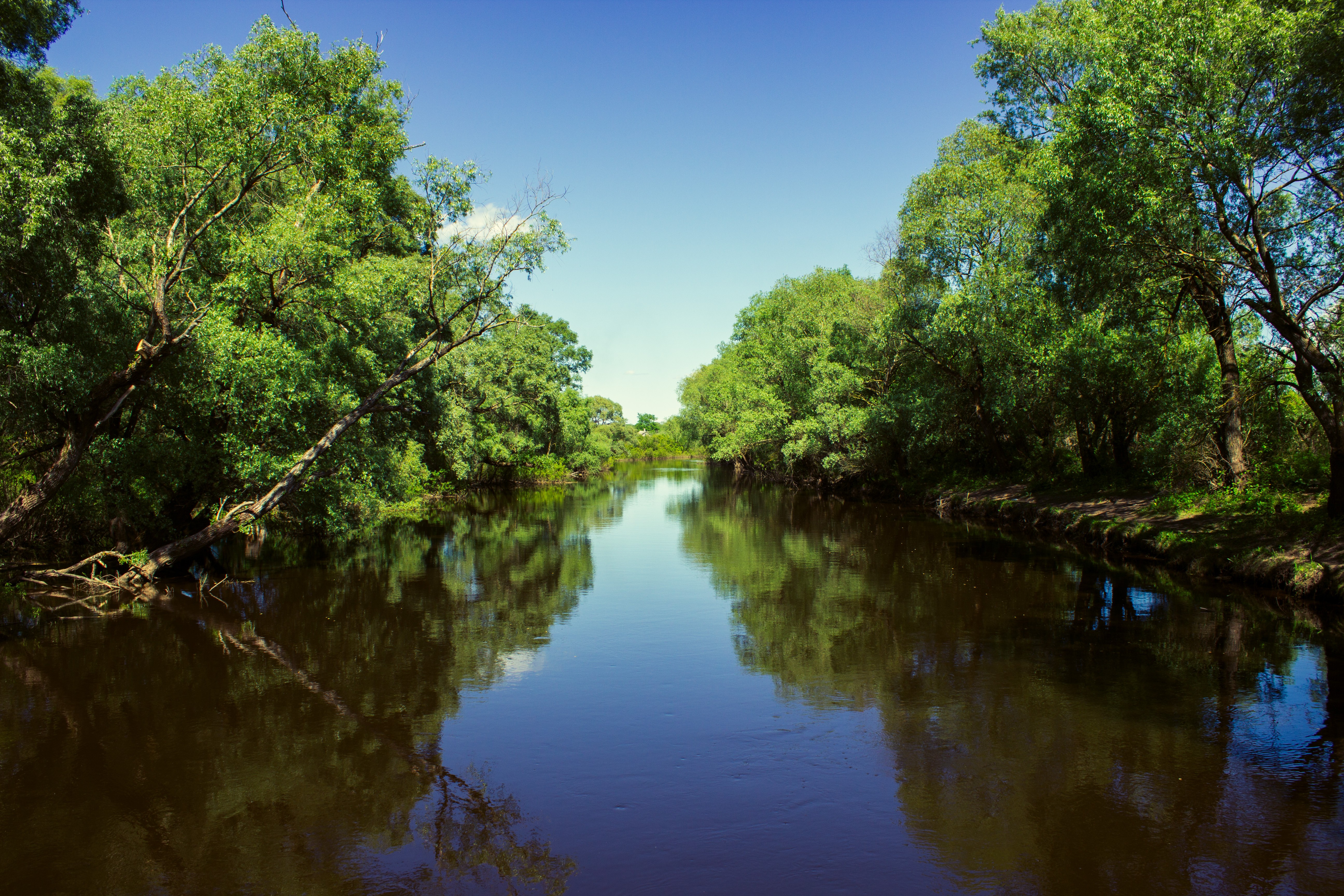 Wallpapers landscape forest lake on the desktop
