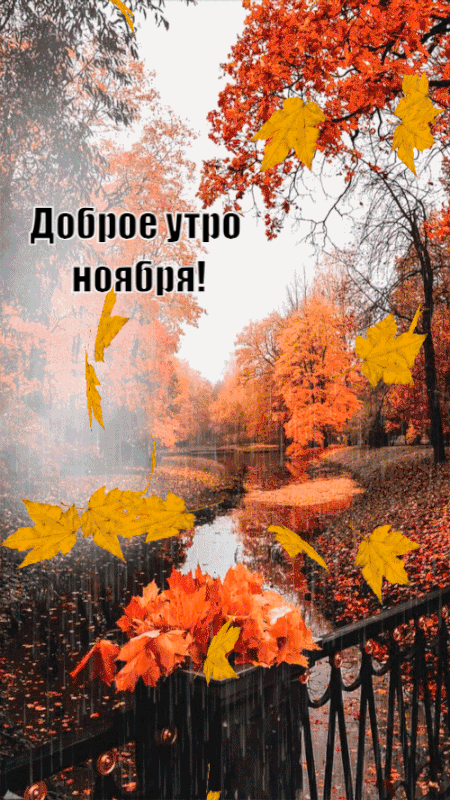 Бесплатная открытка Кленовый листопад в ноябре, с добрым утром