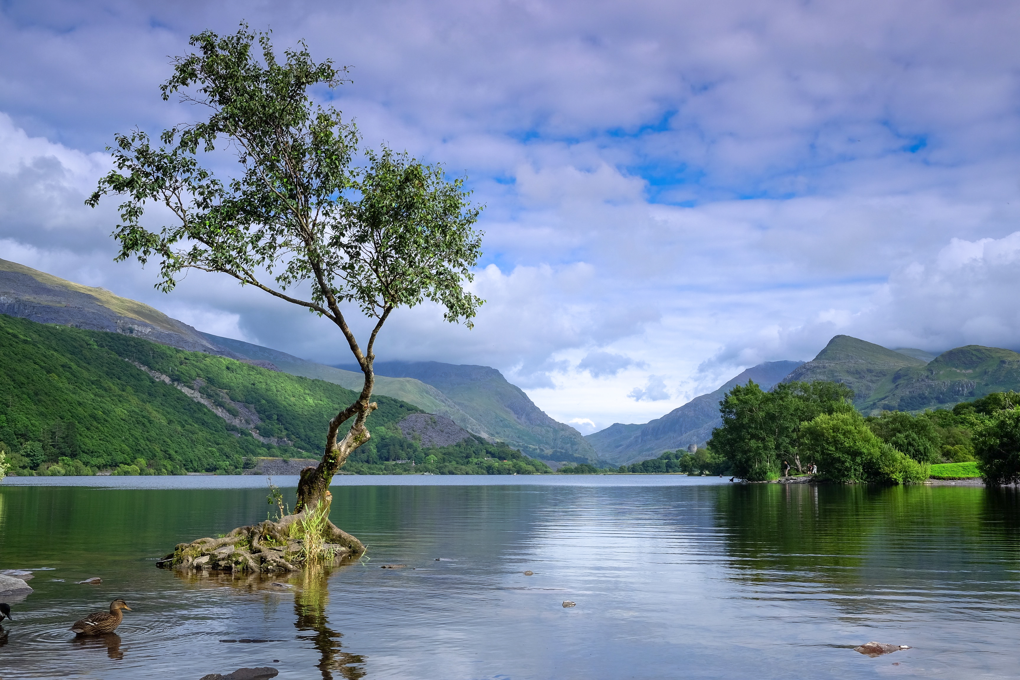 Wallpapers Llyn Padarn Llanberis North Wales on the desktop