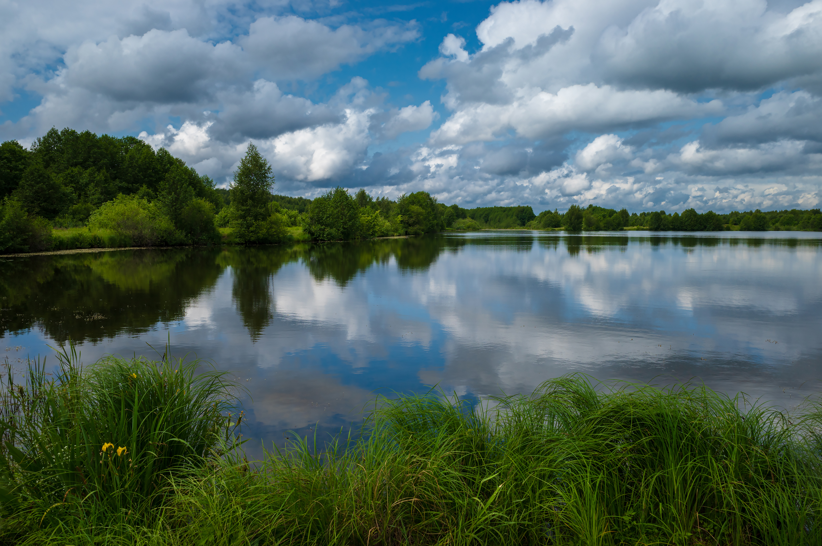Бесплатное фото Летний пейзаж на озере