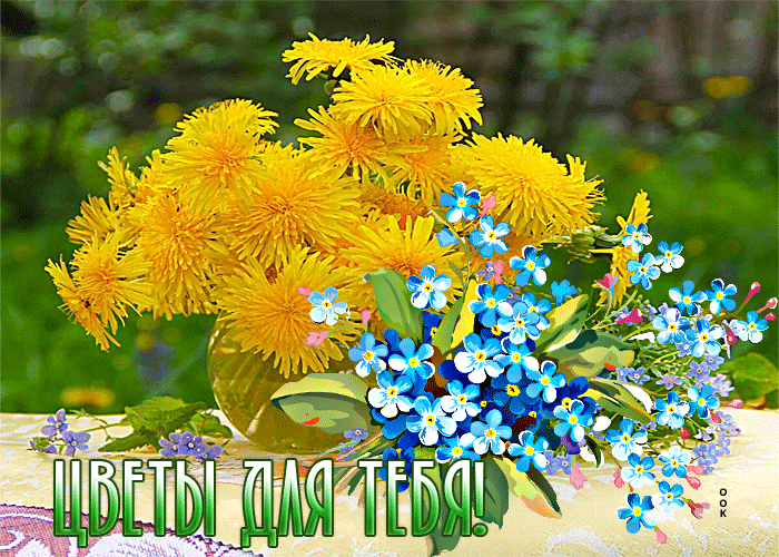 Postcard on the theme animated flowers for you flowers wildflowers download for free