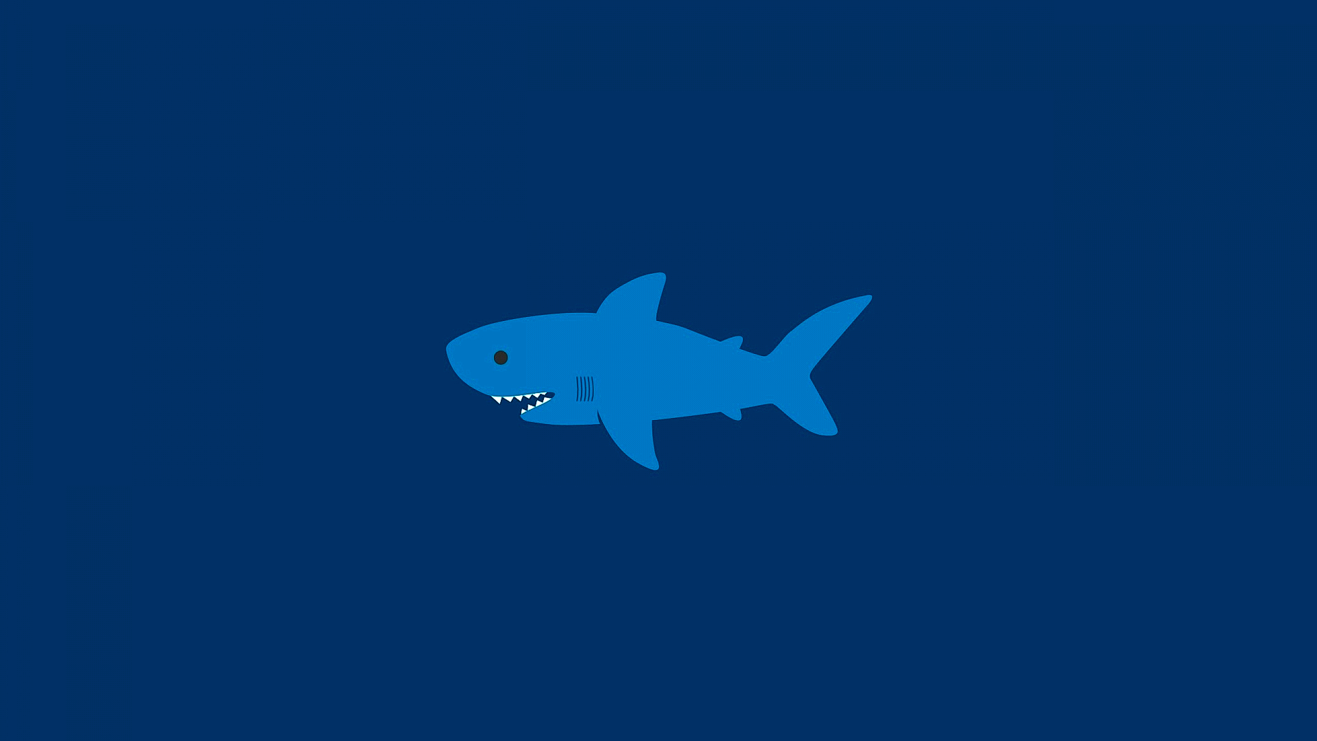 Free photo Shark Drawing