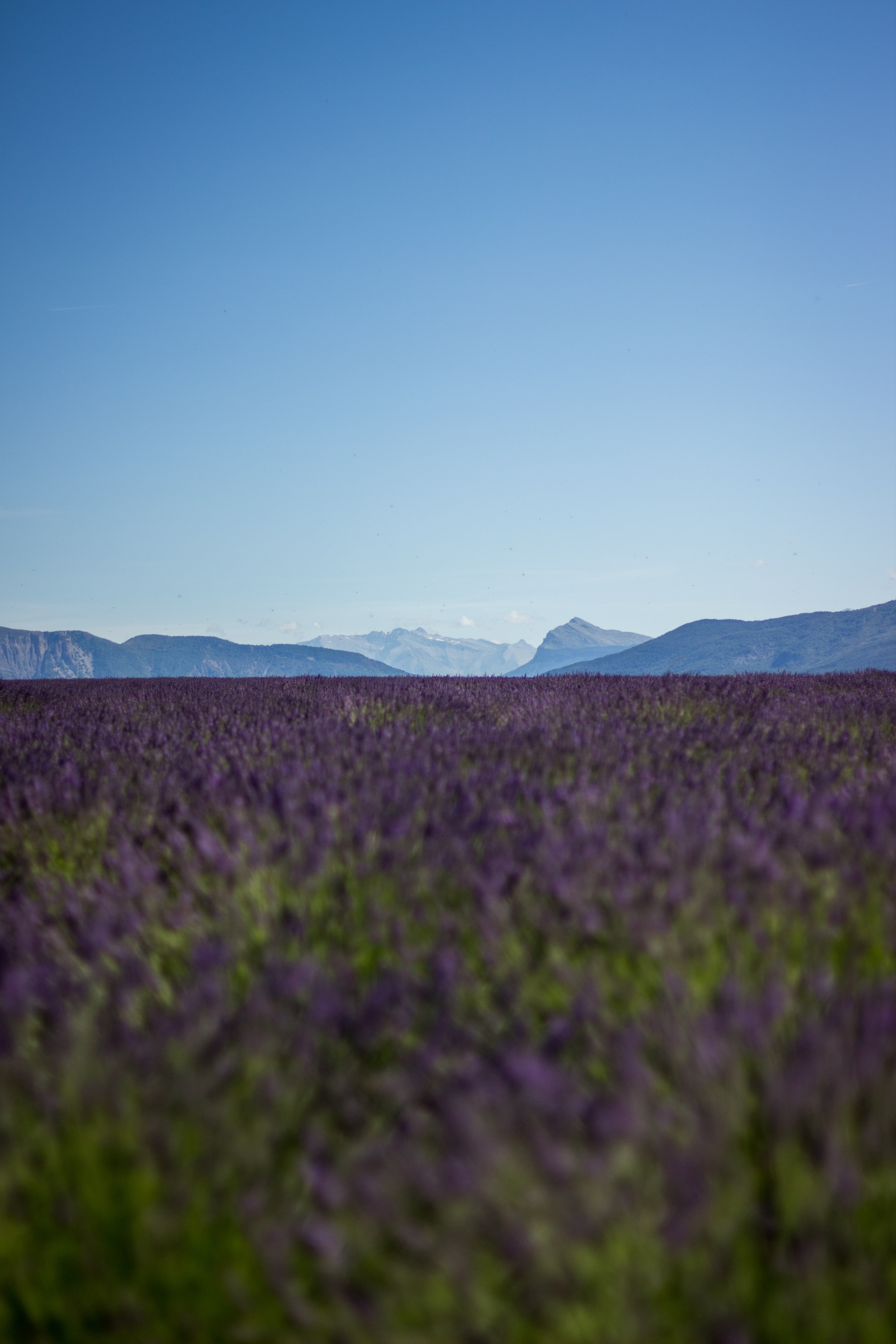 Wallpapers landscape nature horizon on the desktop