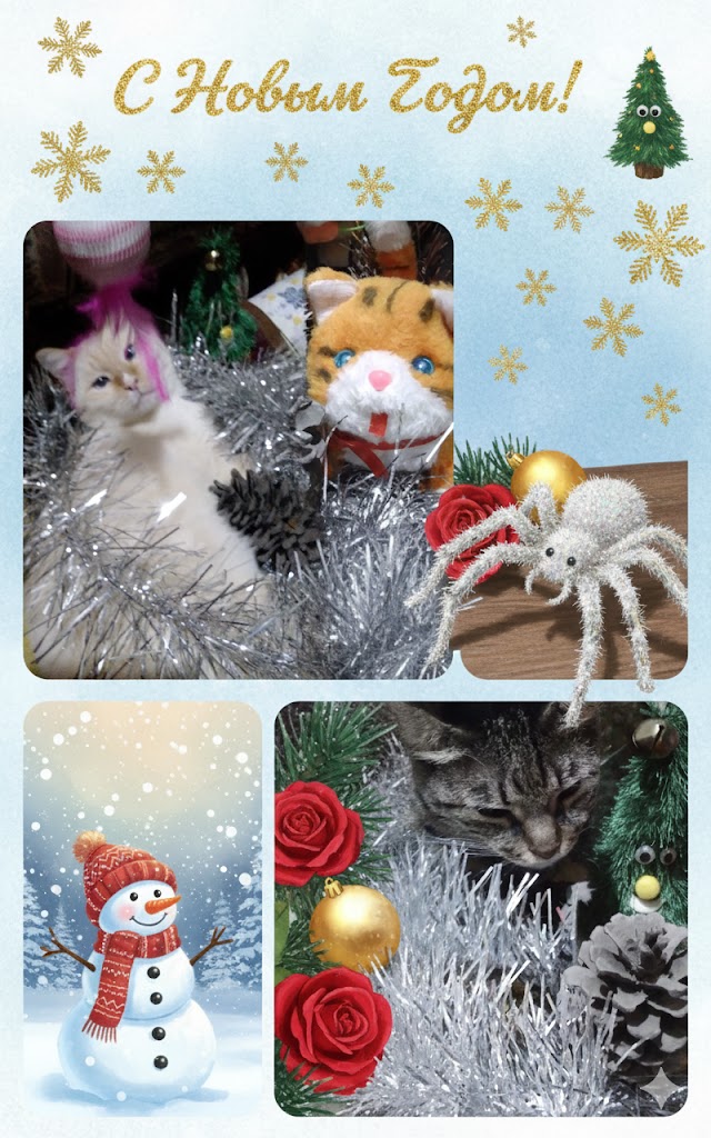 Бесплатная открытка Новогодний котик Вася.