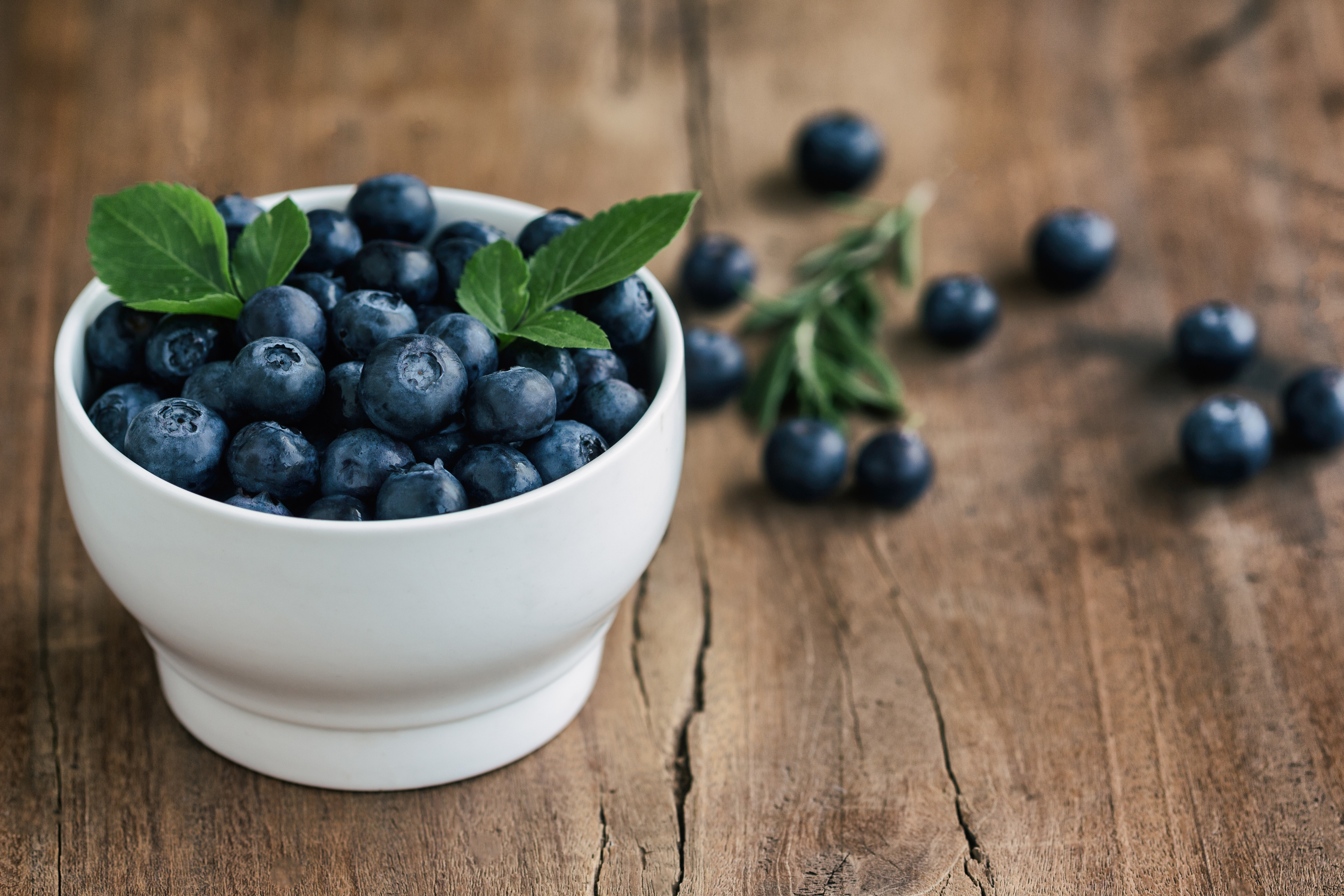 Forest blueberries