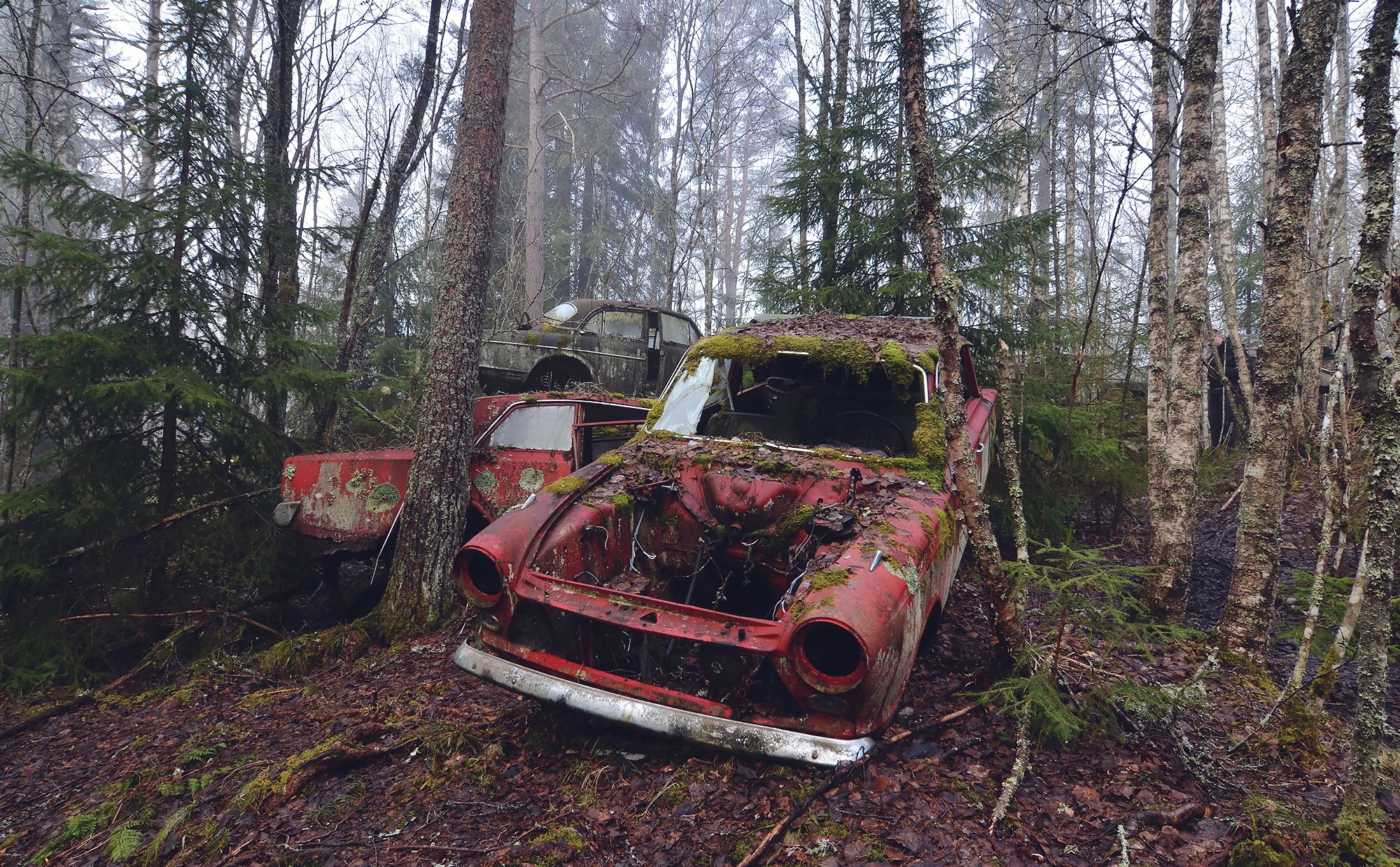 Wallpapers forest car ruin on the desktop