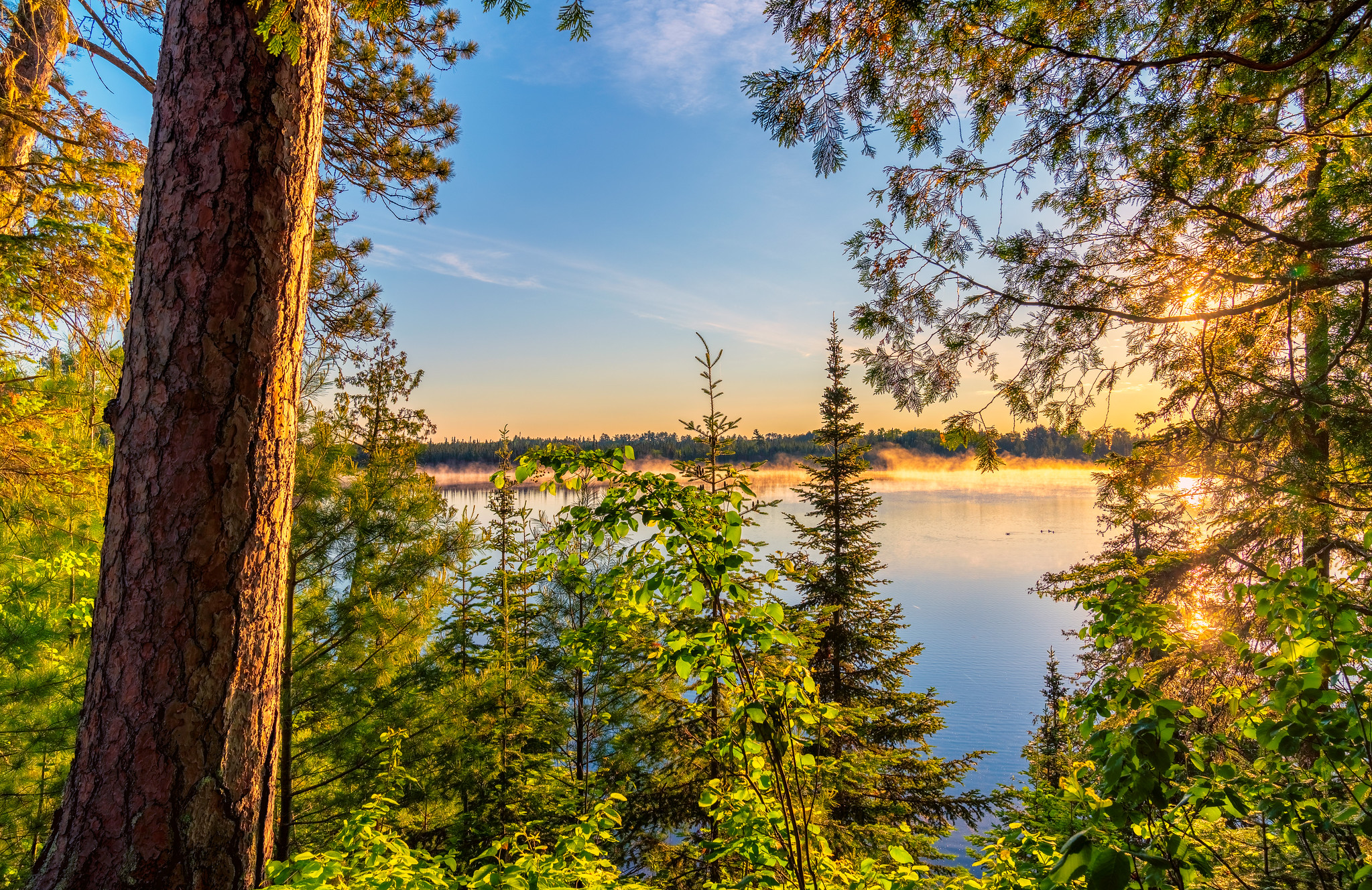 Обои Sandwick Lake Sunrise - Scenic State Park Minnesota закат на рабочий стол