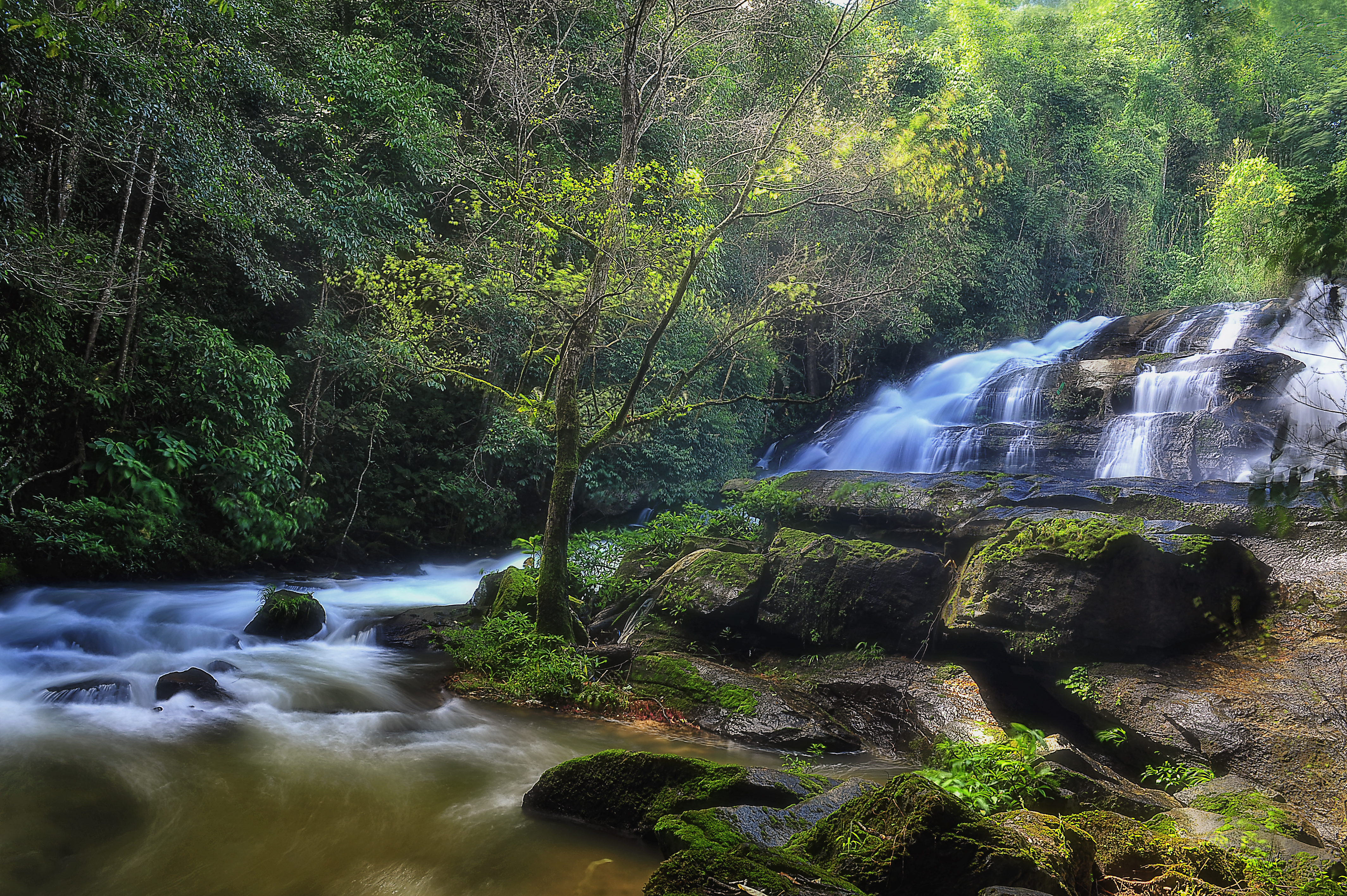 Wallpapers landscape rocks forest waterfall on the desktop