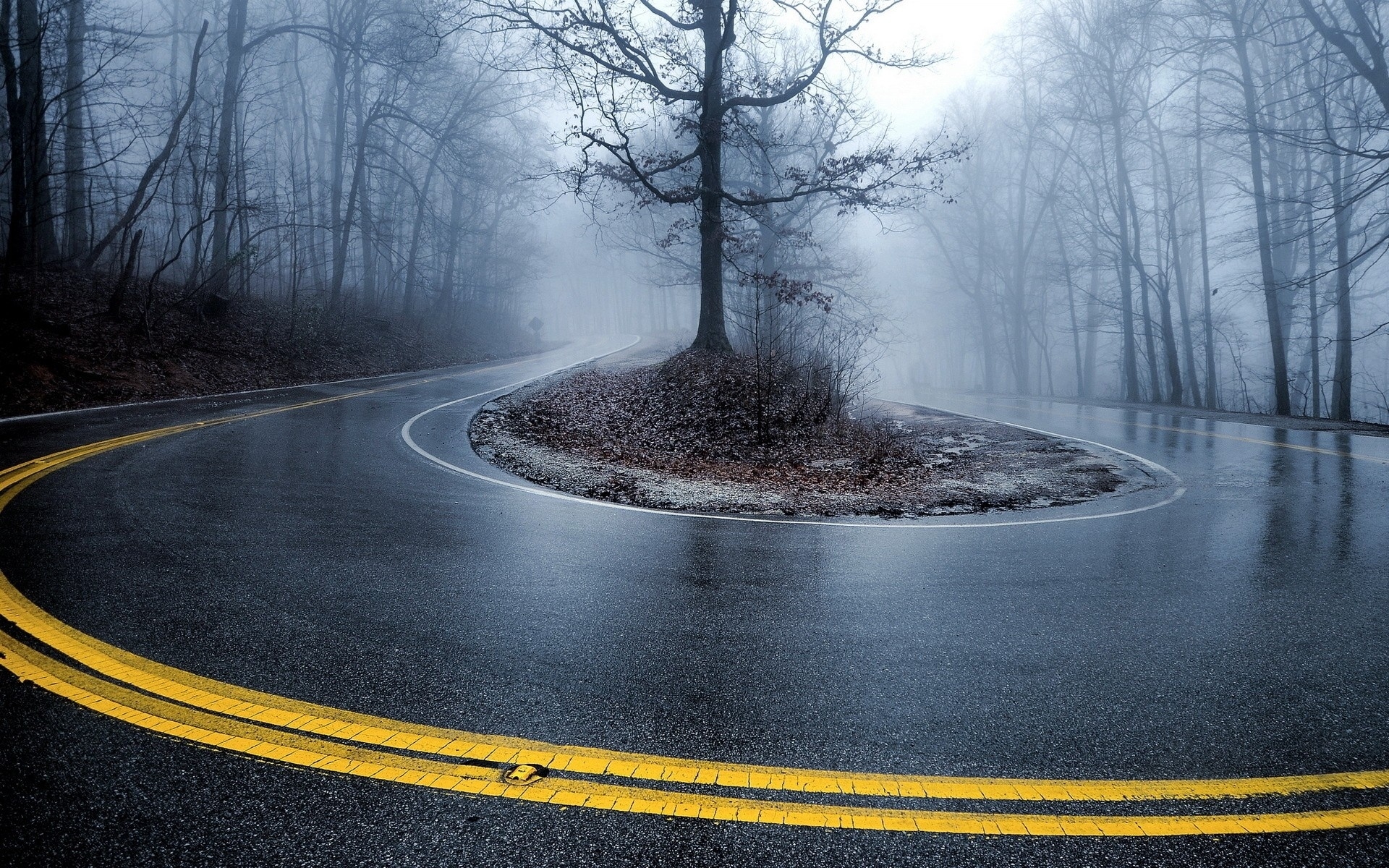 Free photo Turning a wet road in the woods.