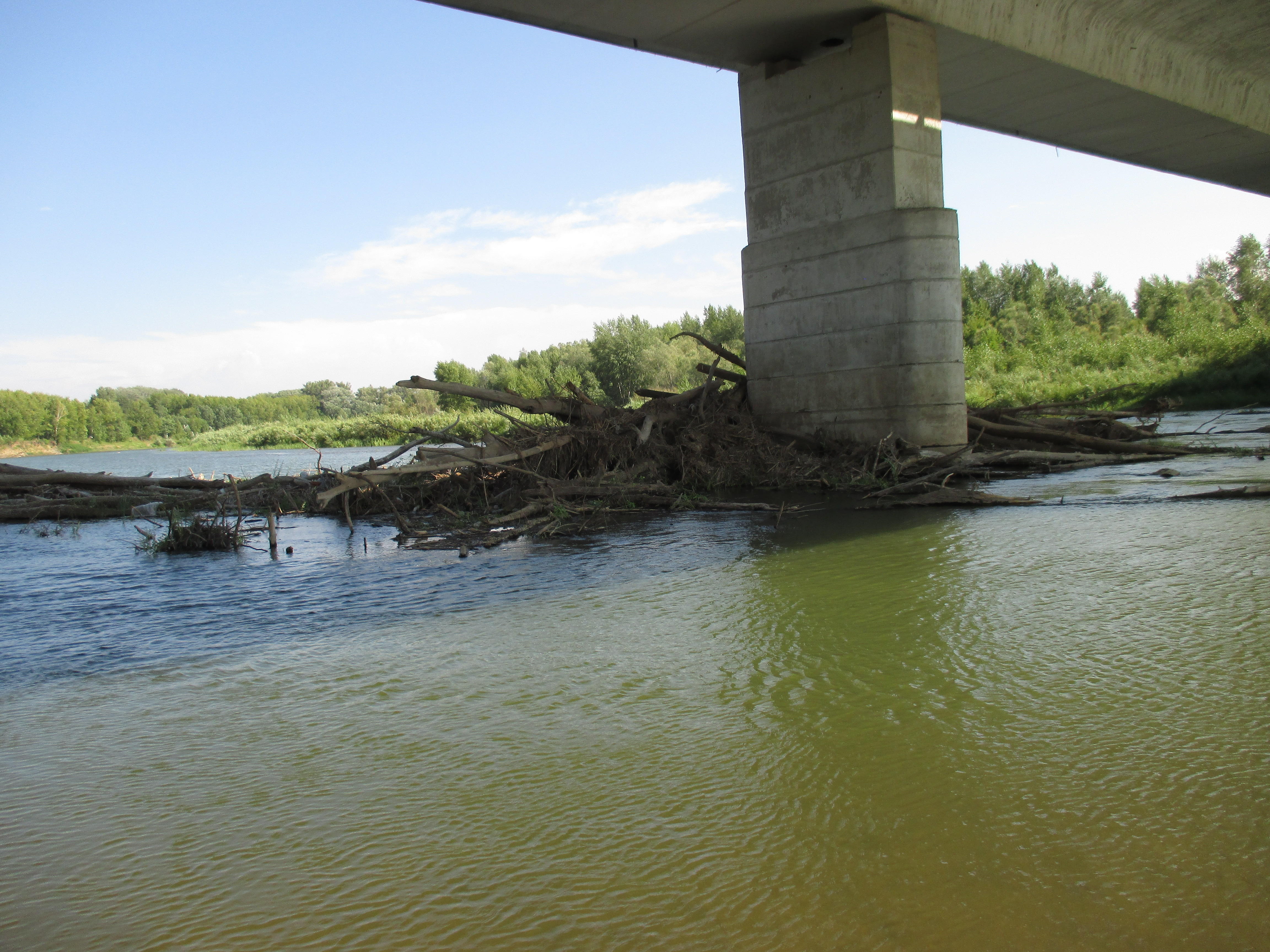 Бесплатное фото Под мостом
