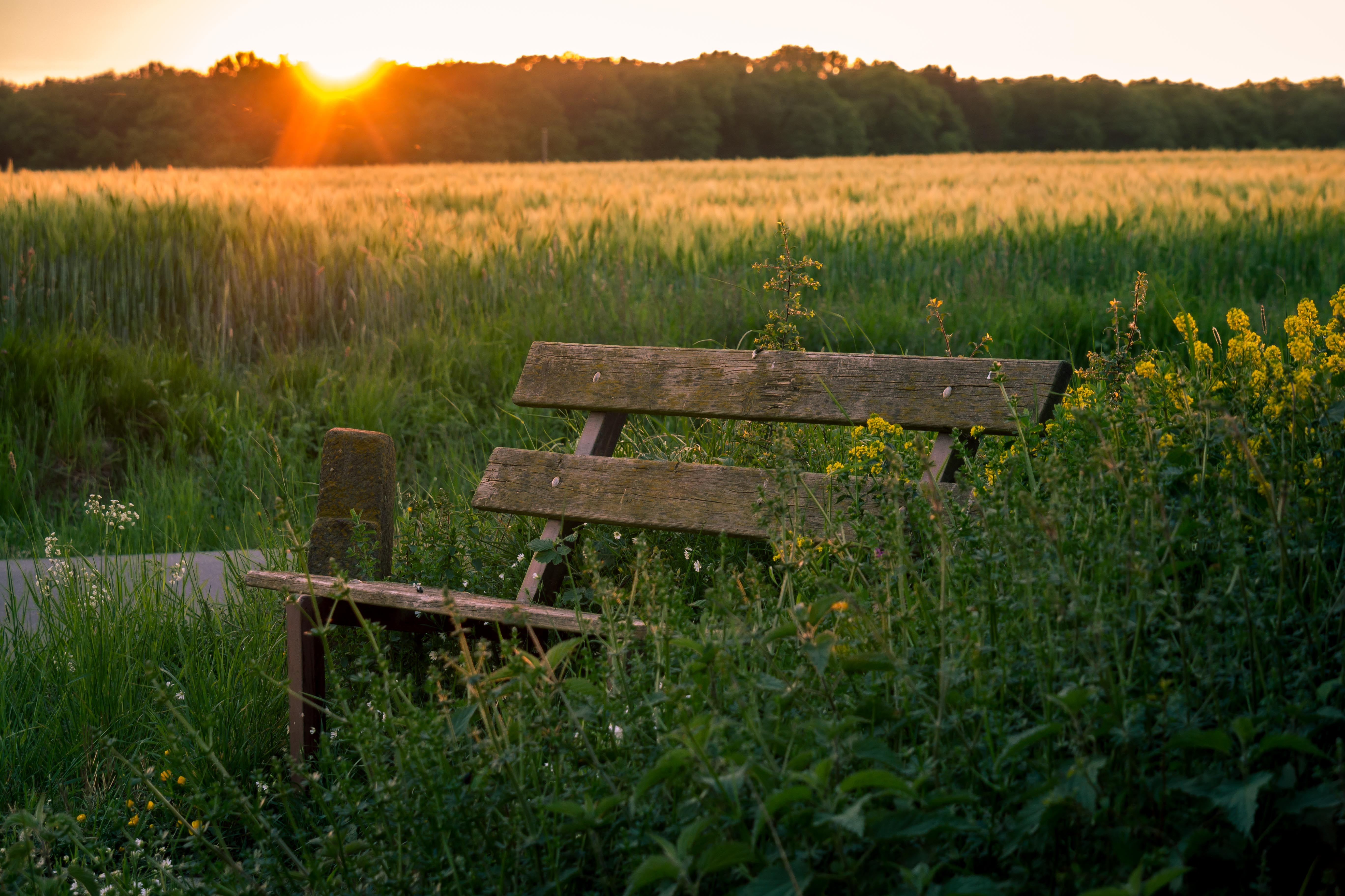 Бесплатное фото Лавочка на утреннем поле