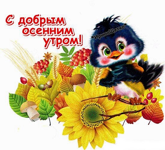 Бесплатная открытка С добрым осенним утром цветы на белом фоне с птичкой