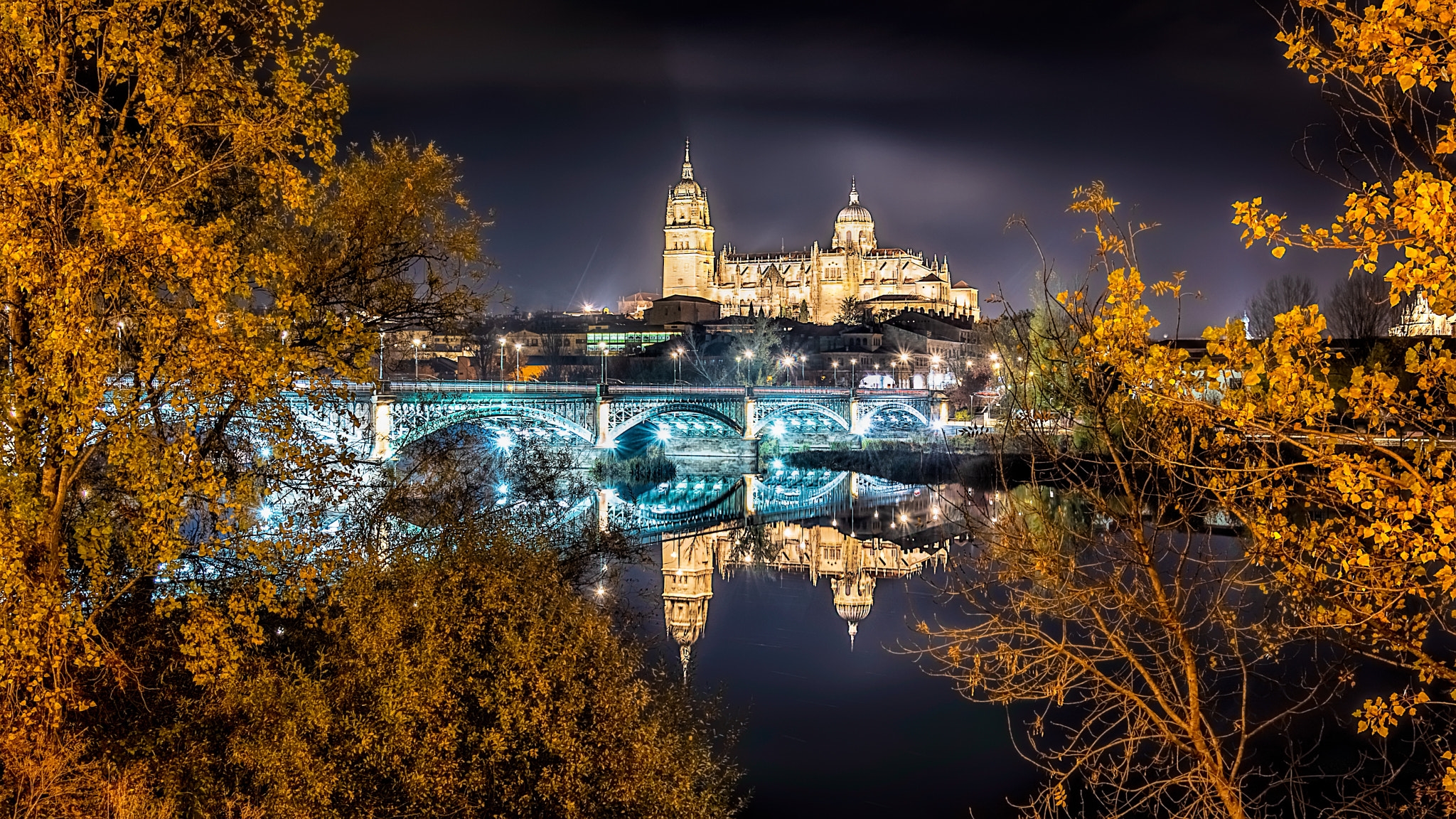 Wallpapers The bridge Enrique Esteban Salamanca Cathedral night on the desktop