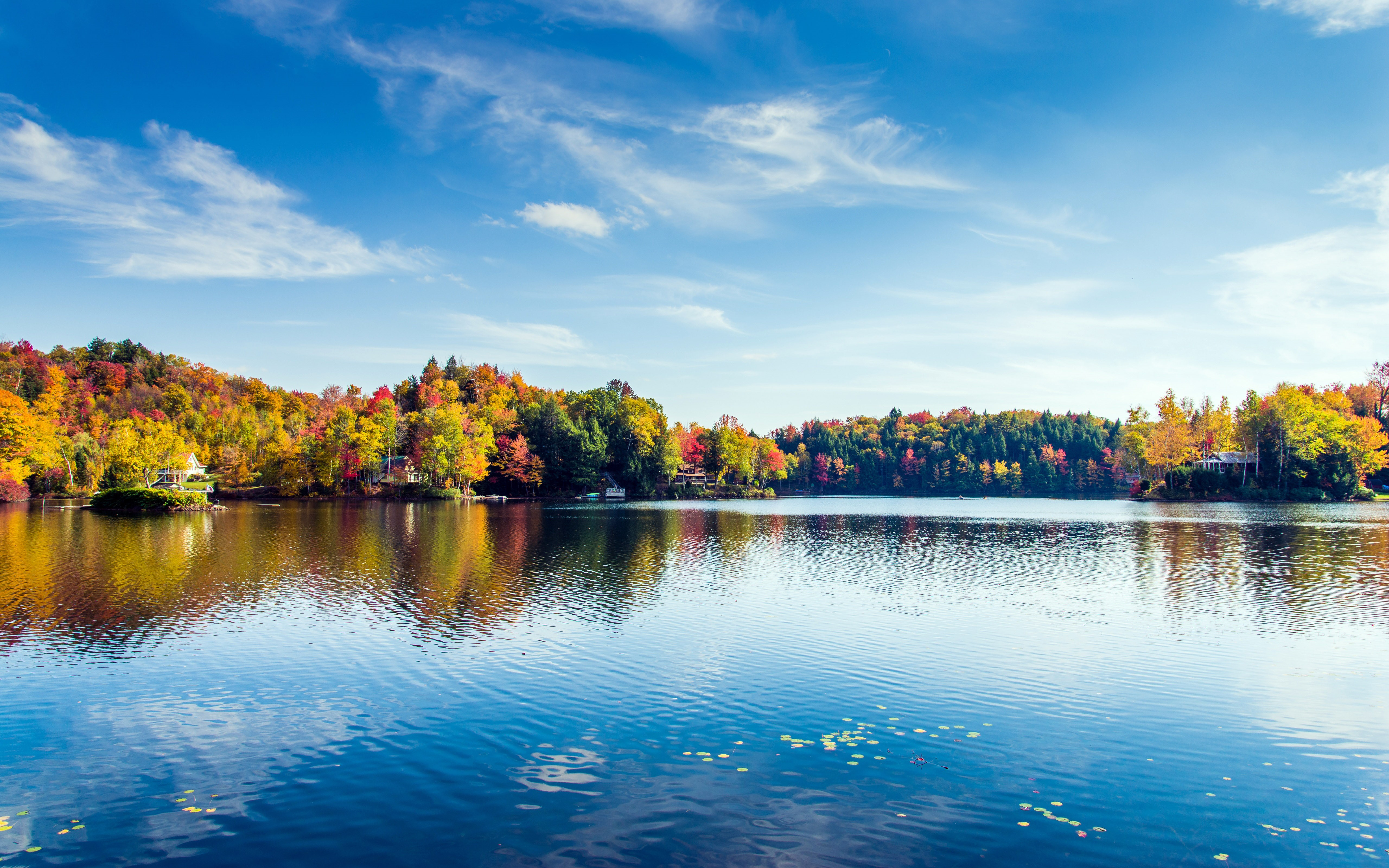 Free photo Autumn trees by the lake in New York City