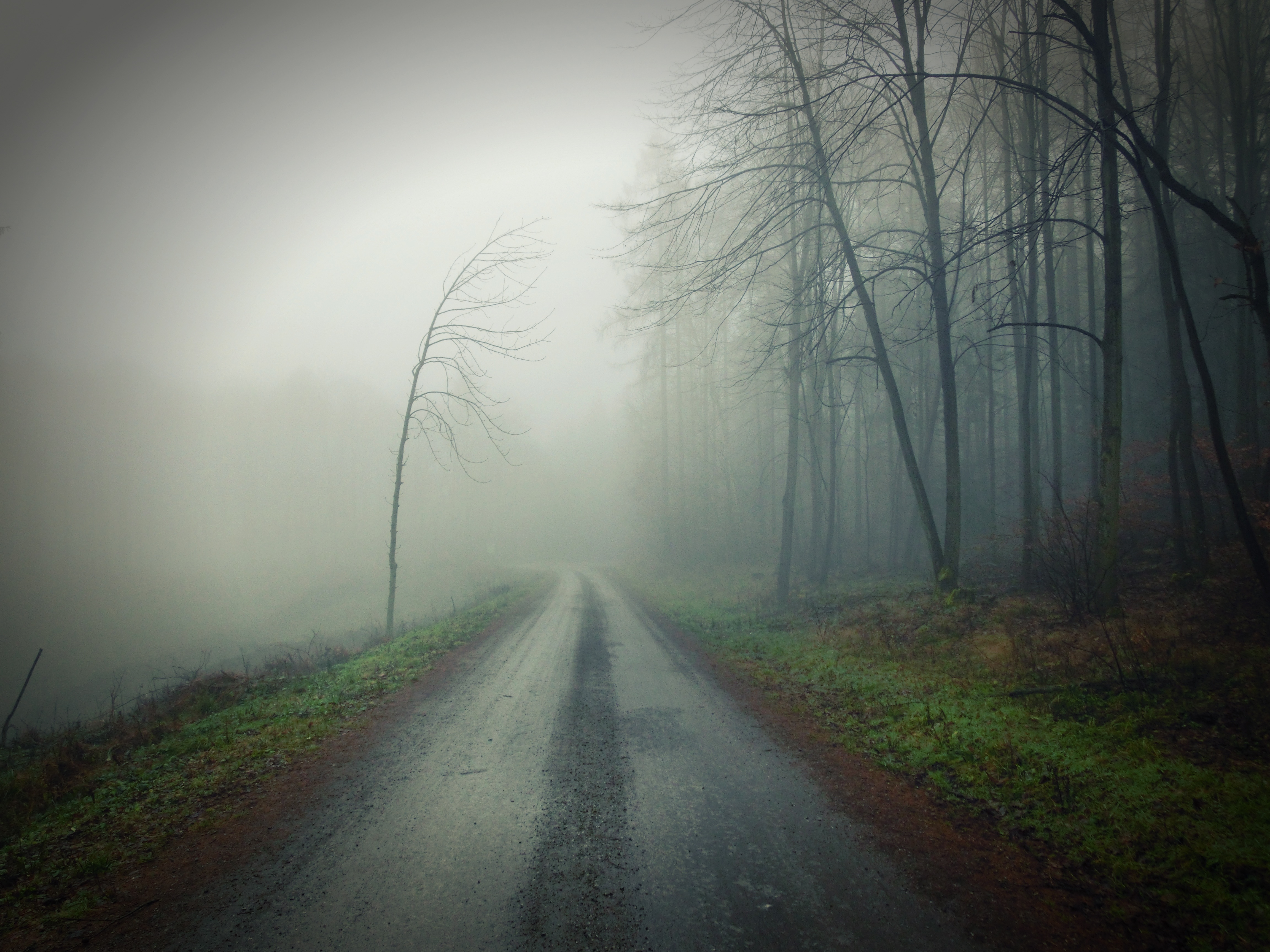 浓雾中的土路