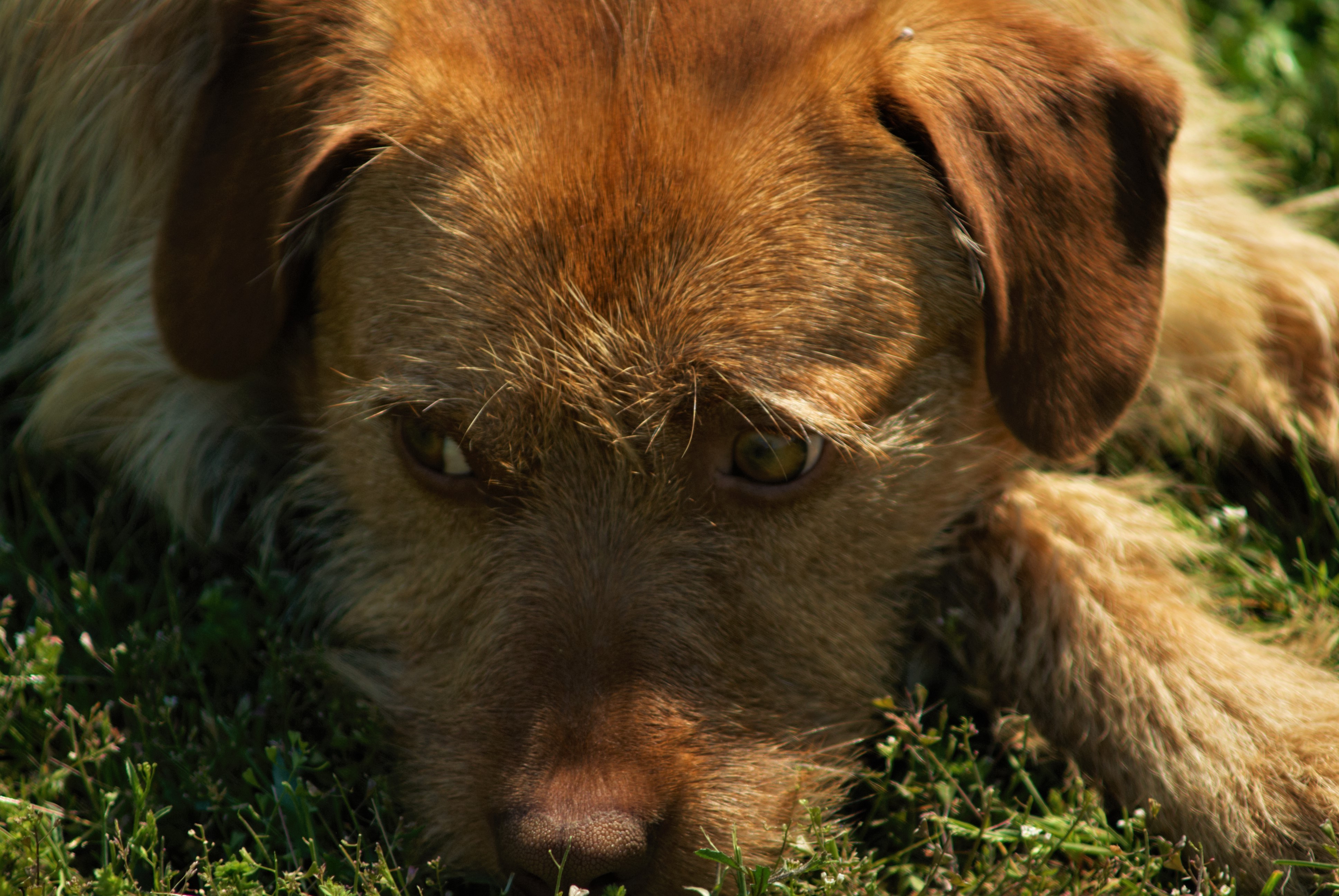 Бесплатное фото Печальный взгляд