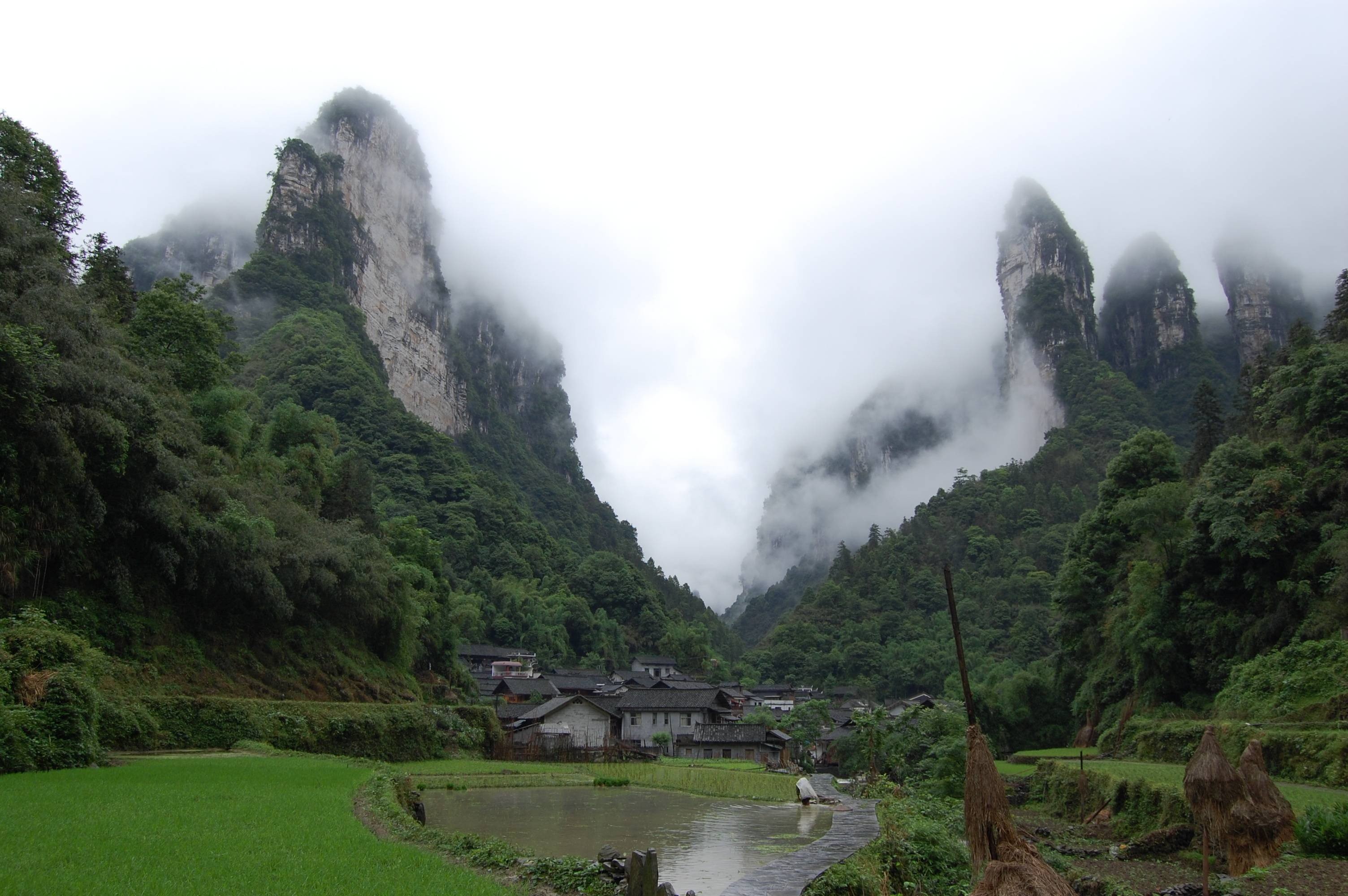 免费照片潮湿山区的雾