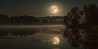 Полная луна светит в небе над деревьями вдоль воды.