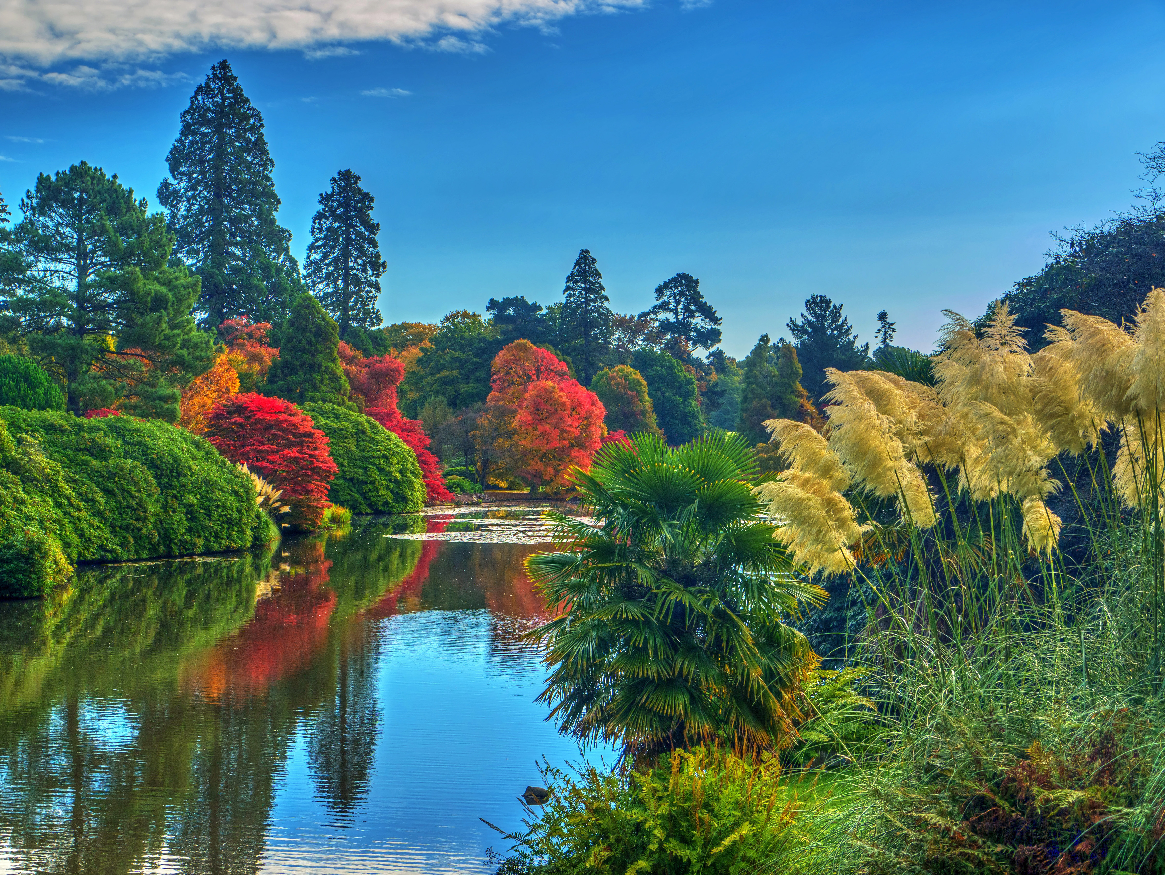 Wallpapers autumn Park England on the desktop