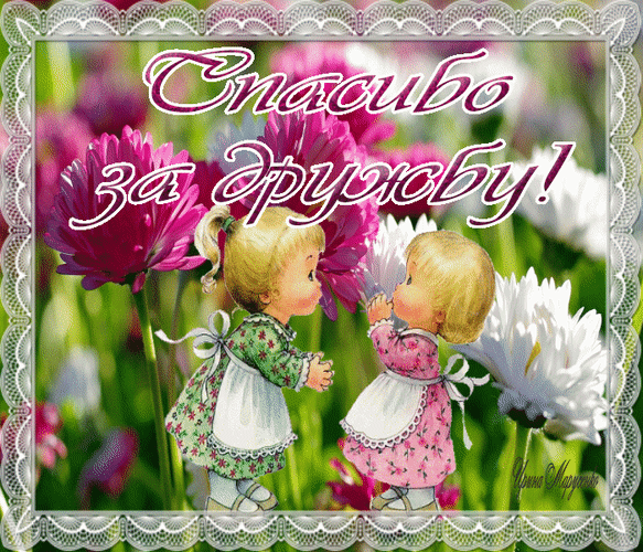 Открытка на тему полевые цветы надпись рамка скачать бесплатно