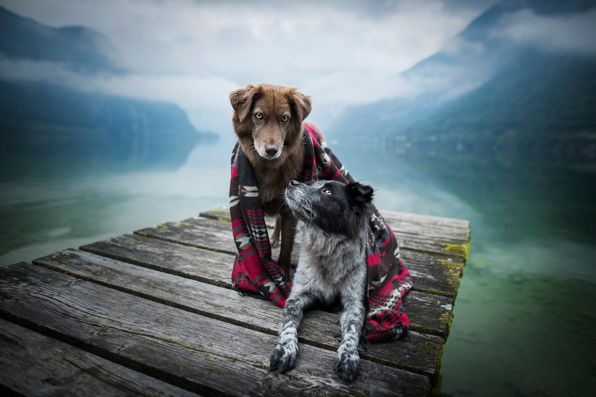 Free photo In a warm rug near the water