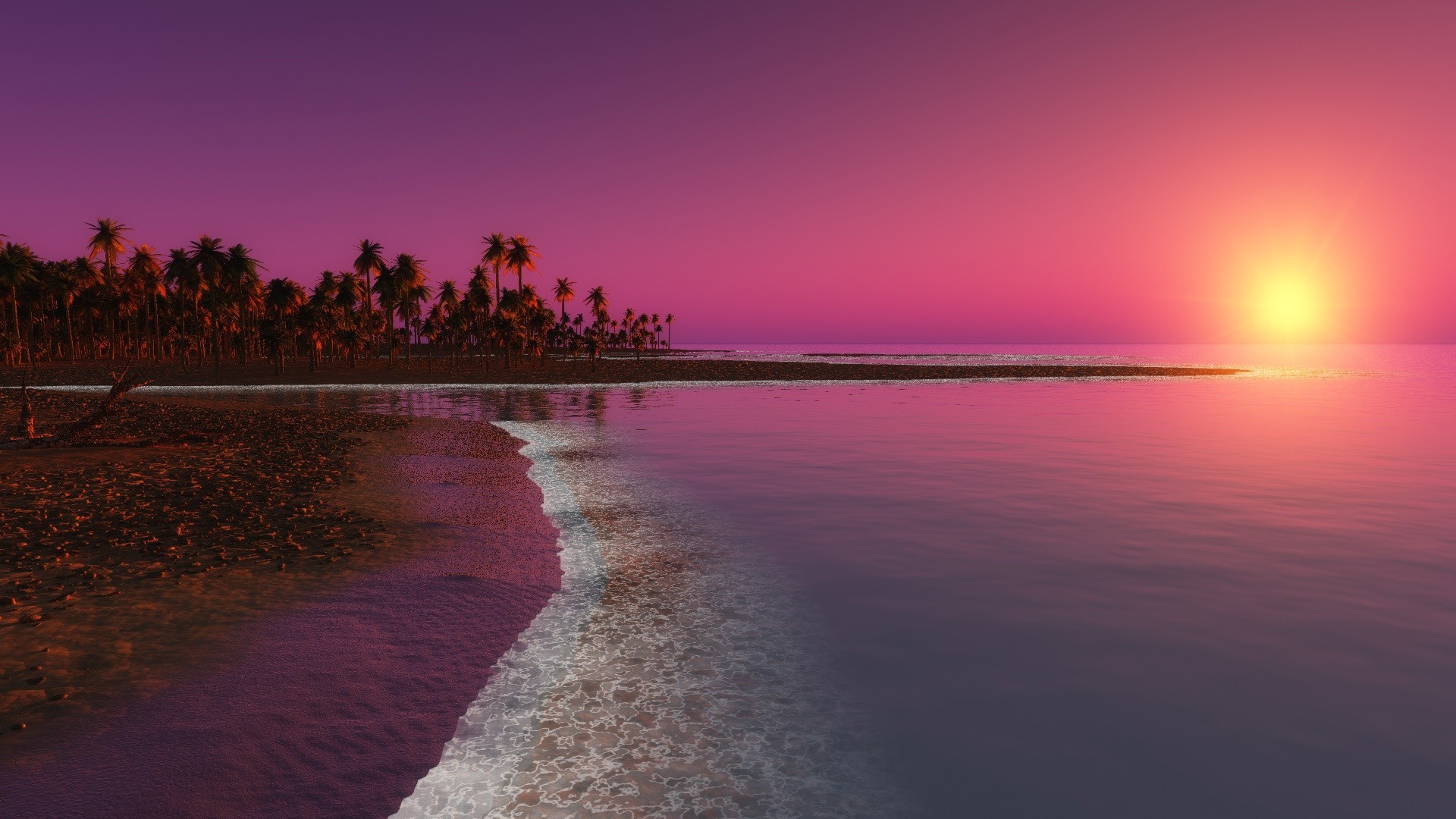 Free photo Pink tropical sunset