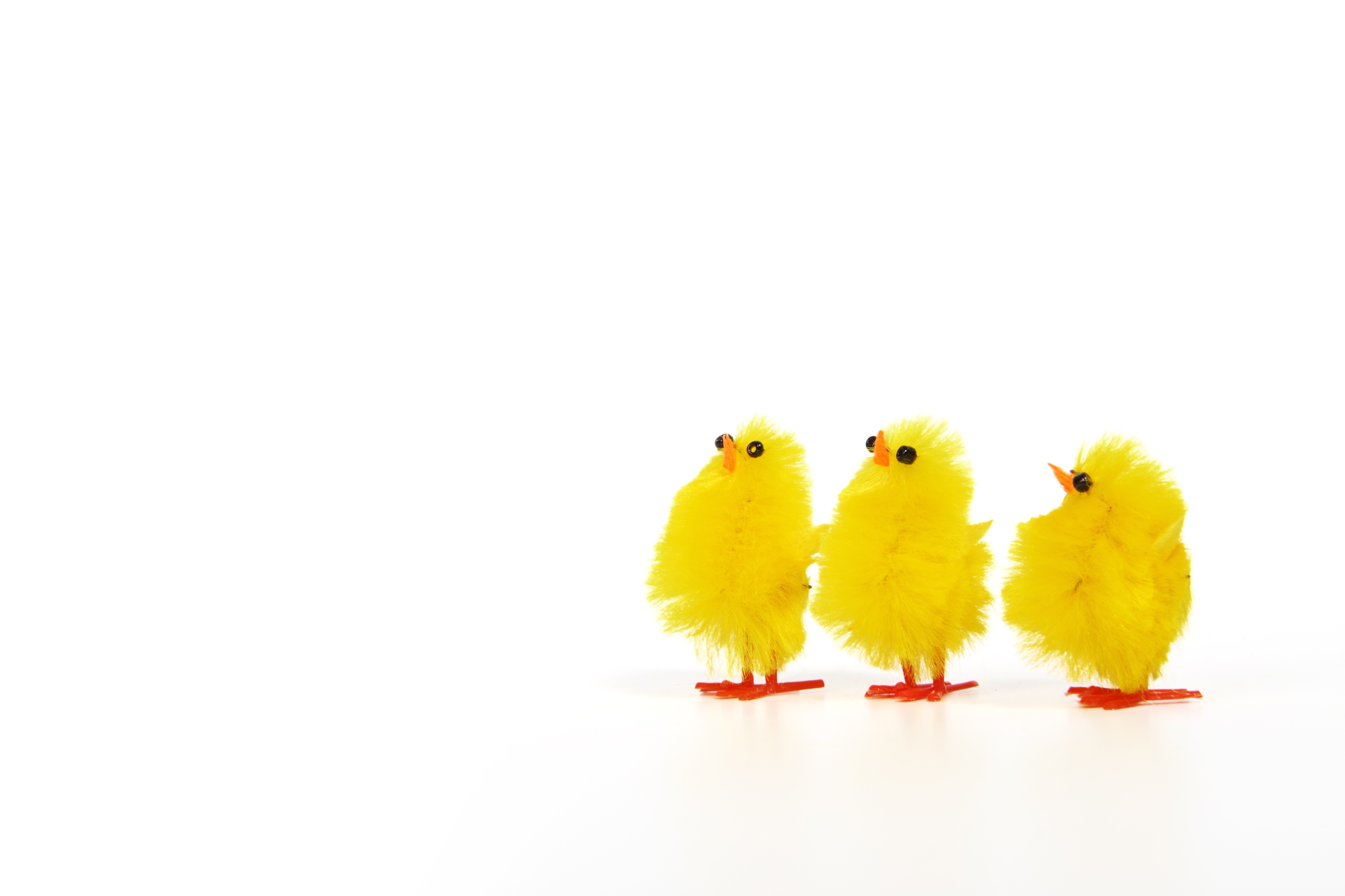Toy yellow chickens