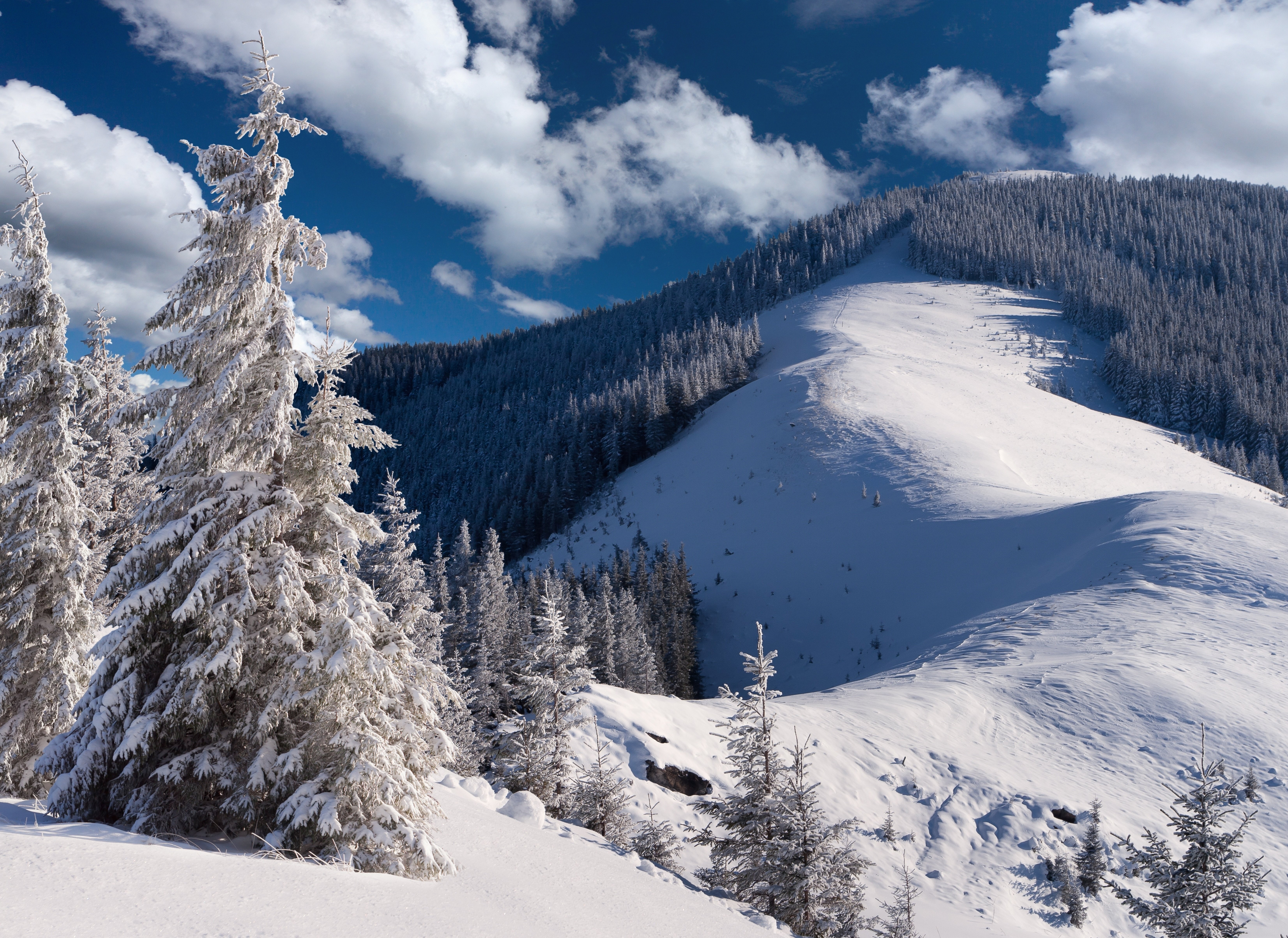 Free photo Landscape, nature, snow