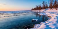 Зимний Байкал: прозрачная вода, заснеженный берег и стройные лиственницы на закате.