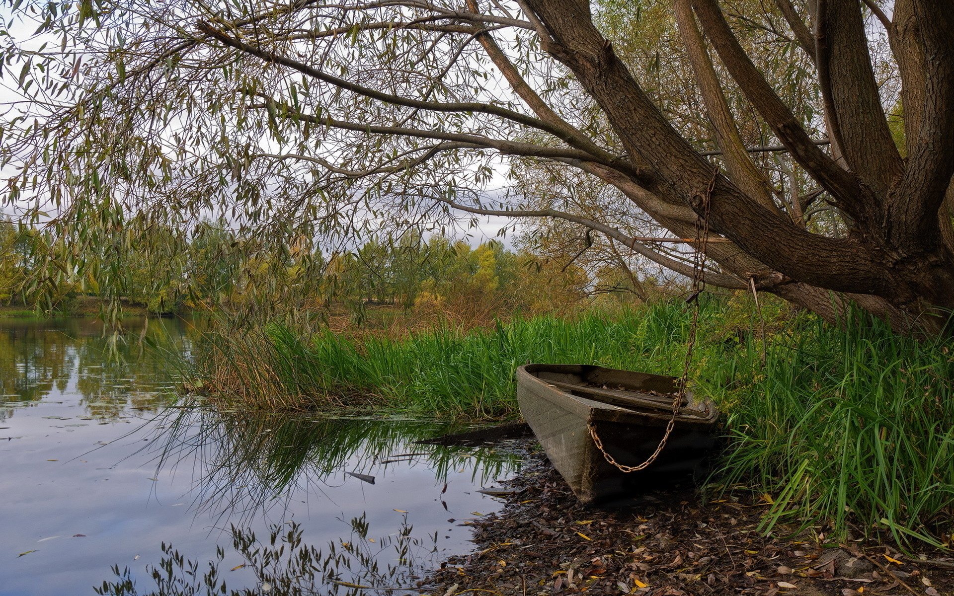 An old wooden boat on the riverbank