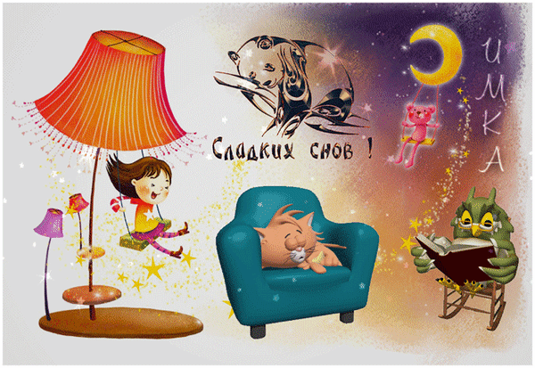 主题为晚上 猫 担任主席的明信片免费下载