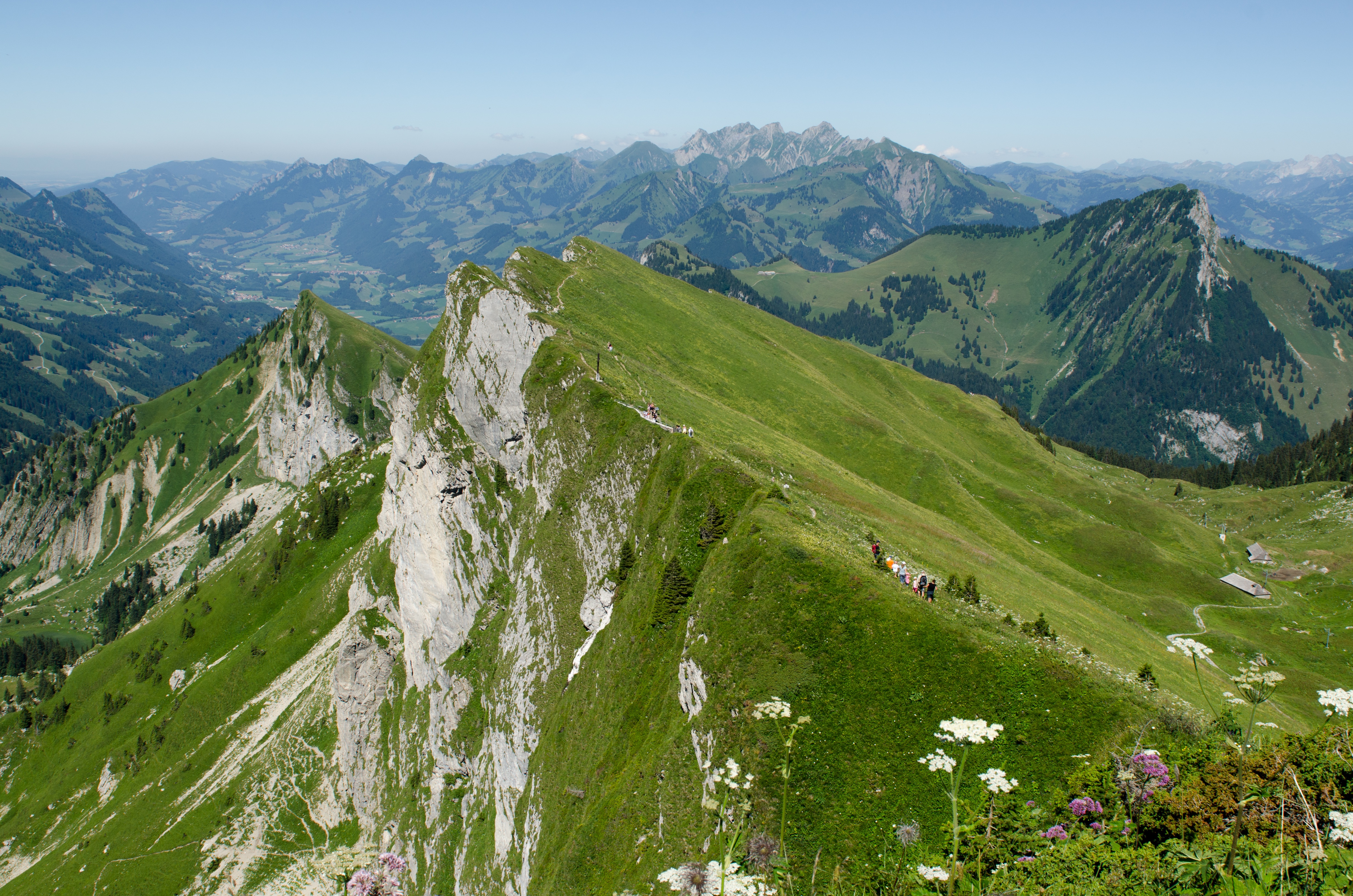 Wallpapers pathway walking mountain on the desktop