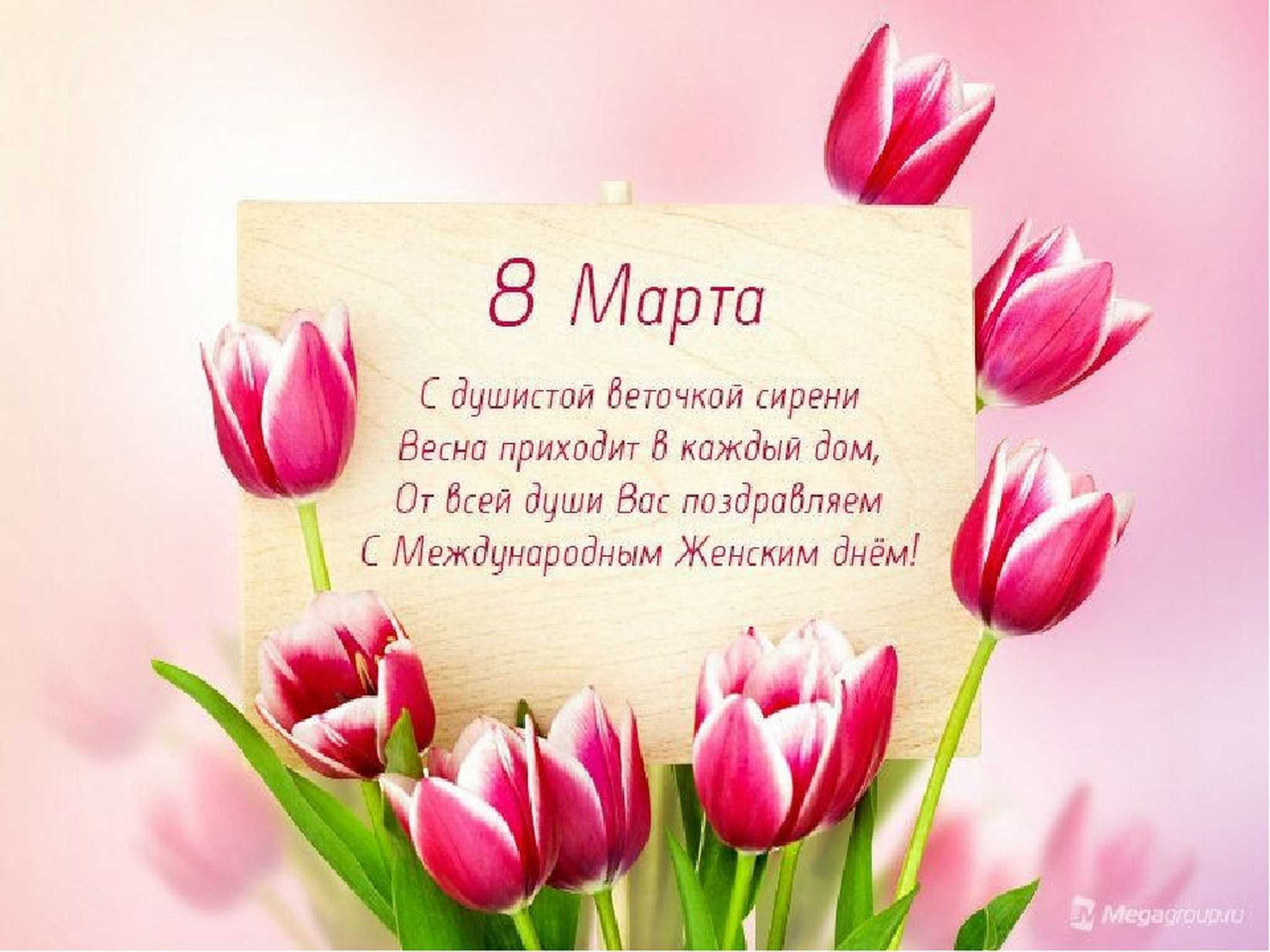 Бесплатная открытка Поздравление с 8 марта и розовыми тюльпанами