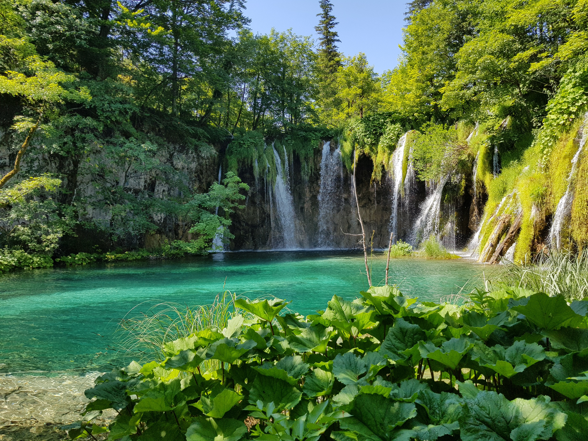 Wallpapers Plitvice Lakes greens vegetation on the desktop