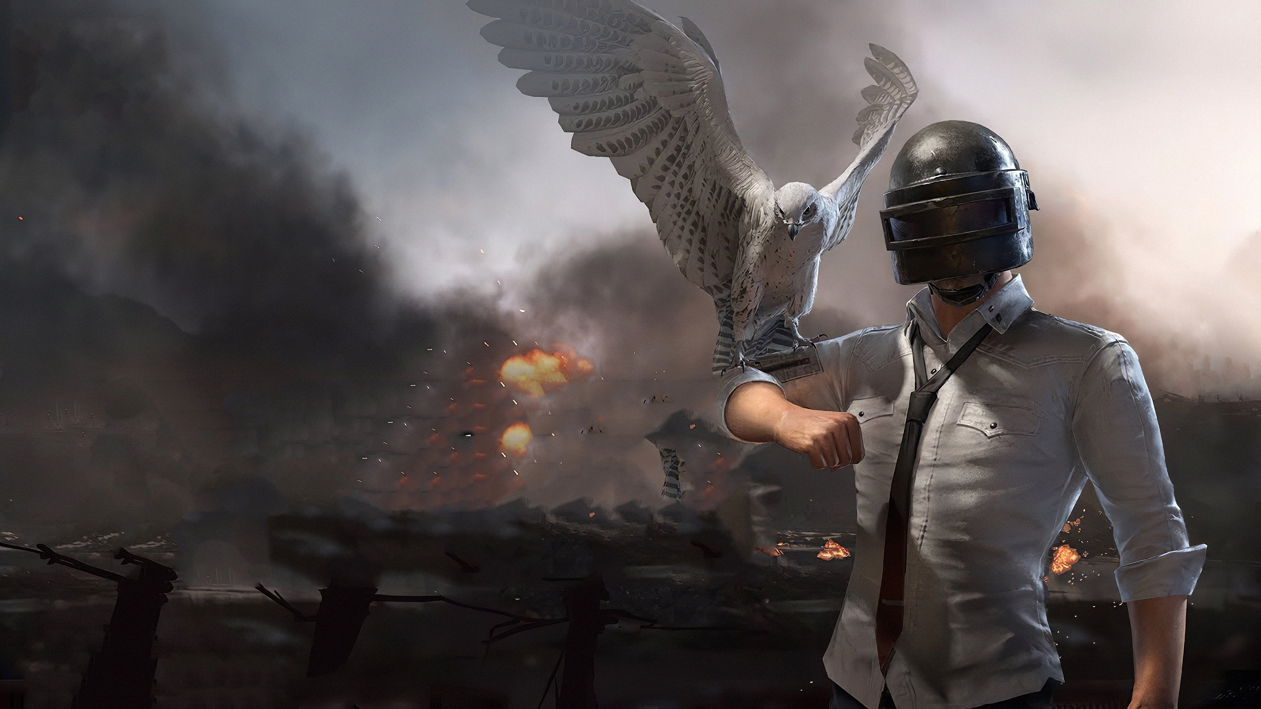 Wallpapers pubg bird helmet on the desktop