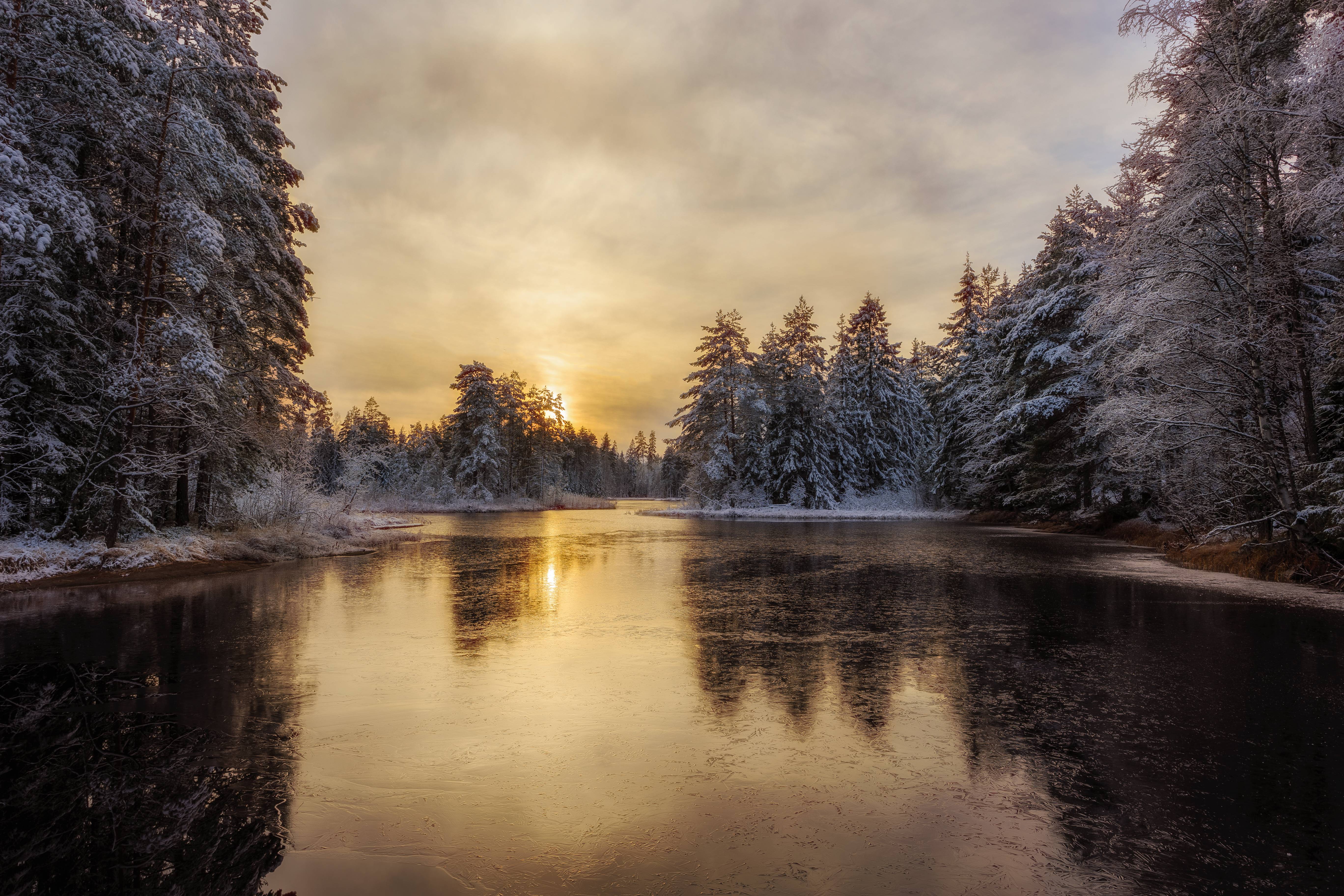 Wallpapers landscapes trees in the snow lake on the desktop