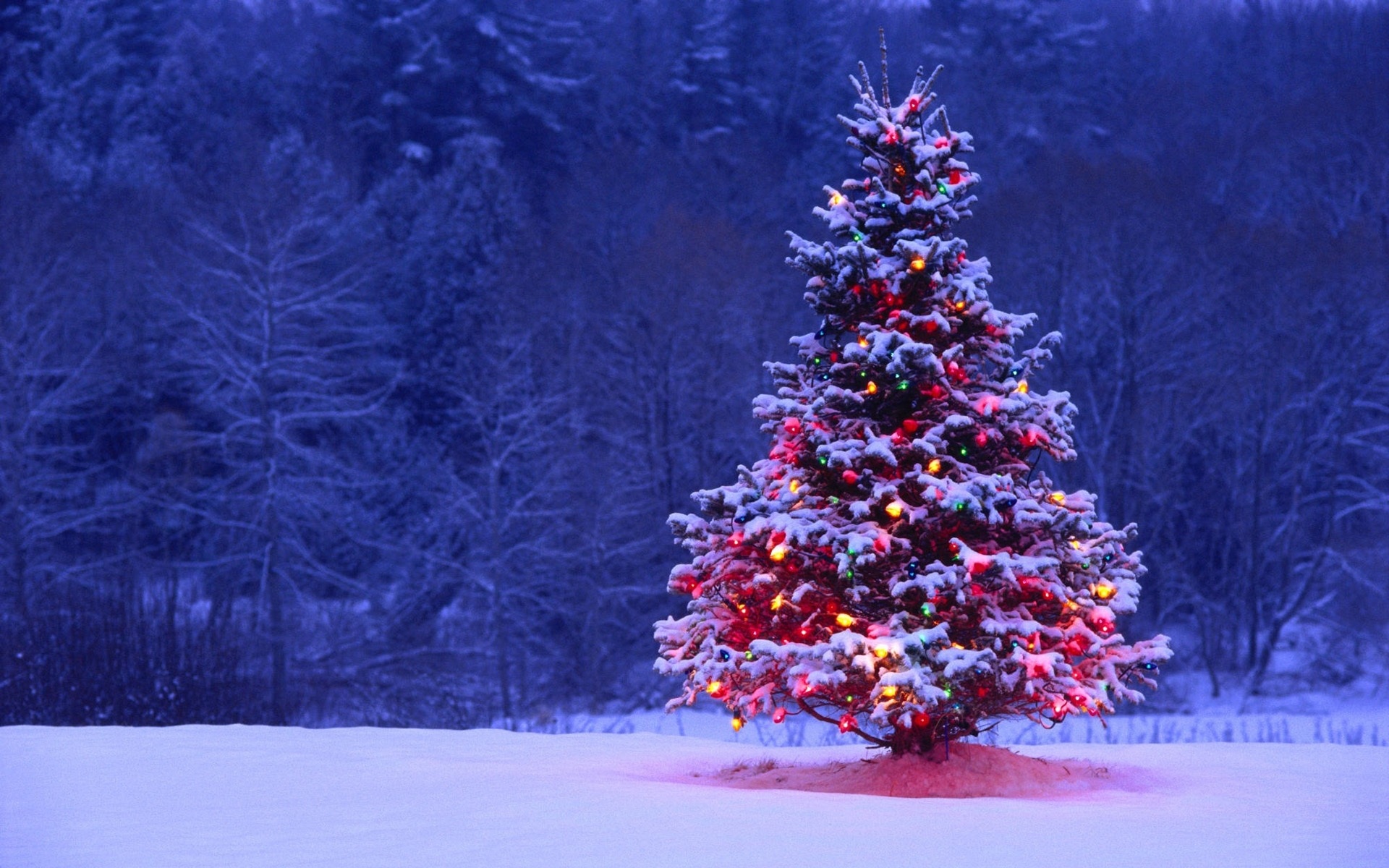 Wallpapers holiday atmosphere snow christmas tree on the desktop