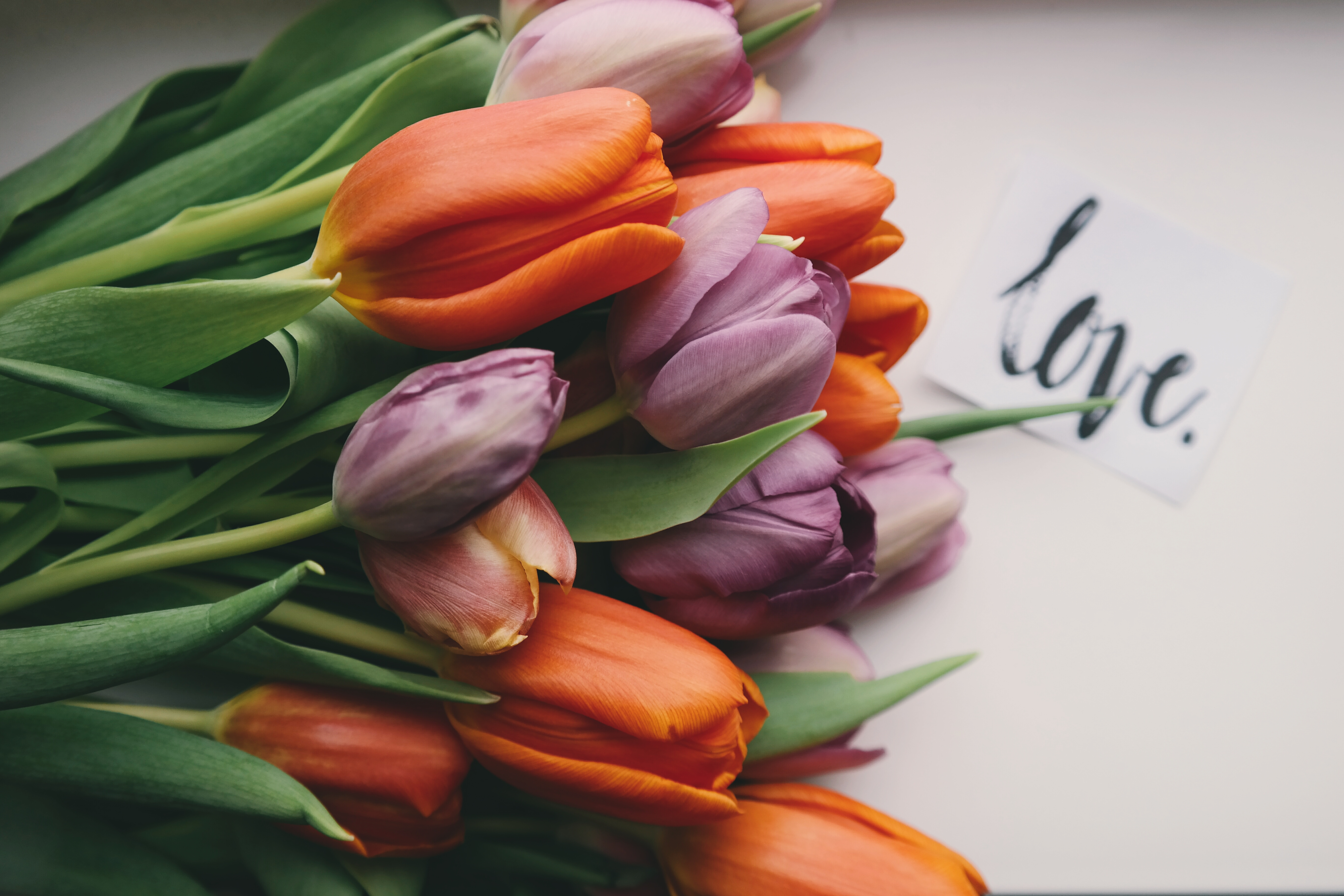 Free photo A bouquet of tulips lies on the table with a note of love