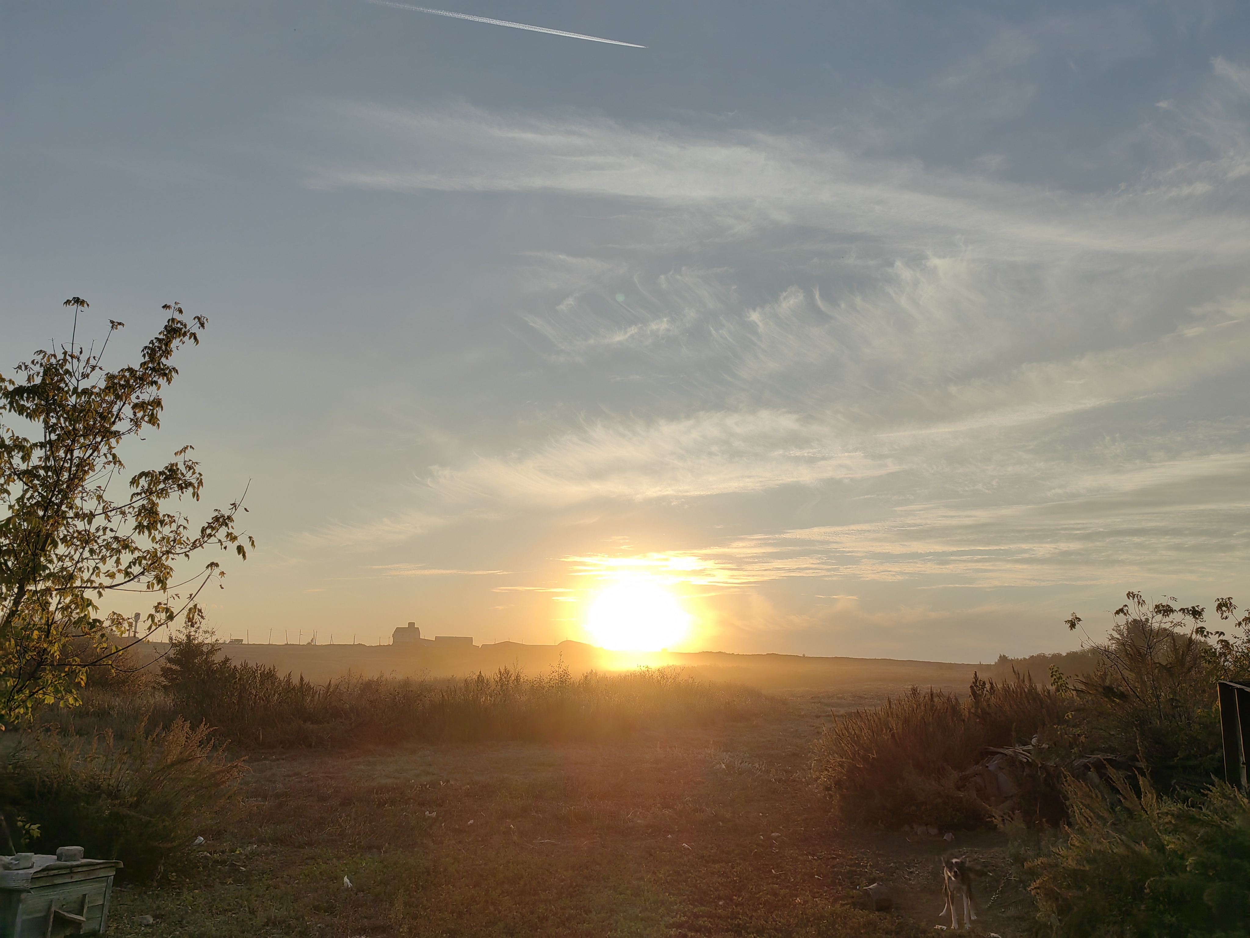 免费照片夏日夕阳