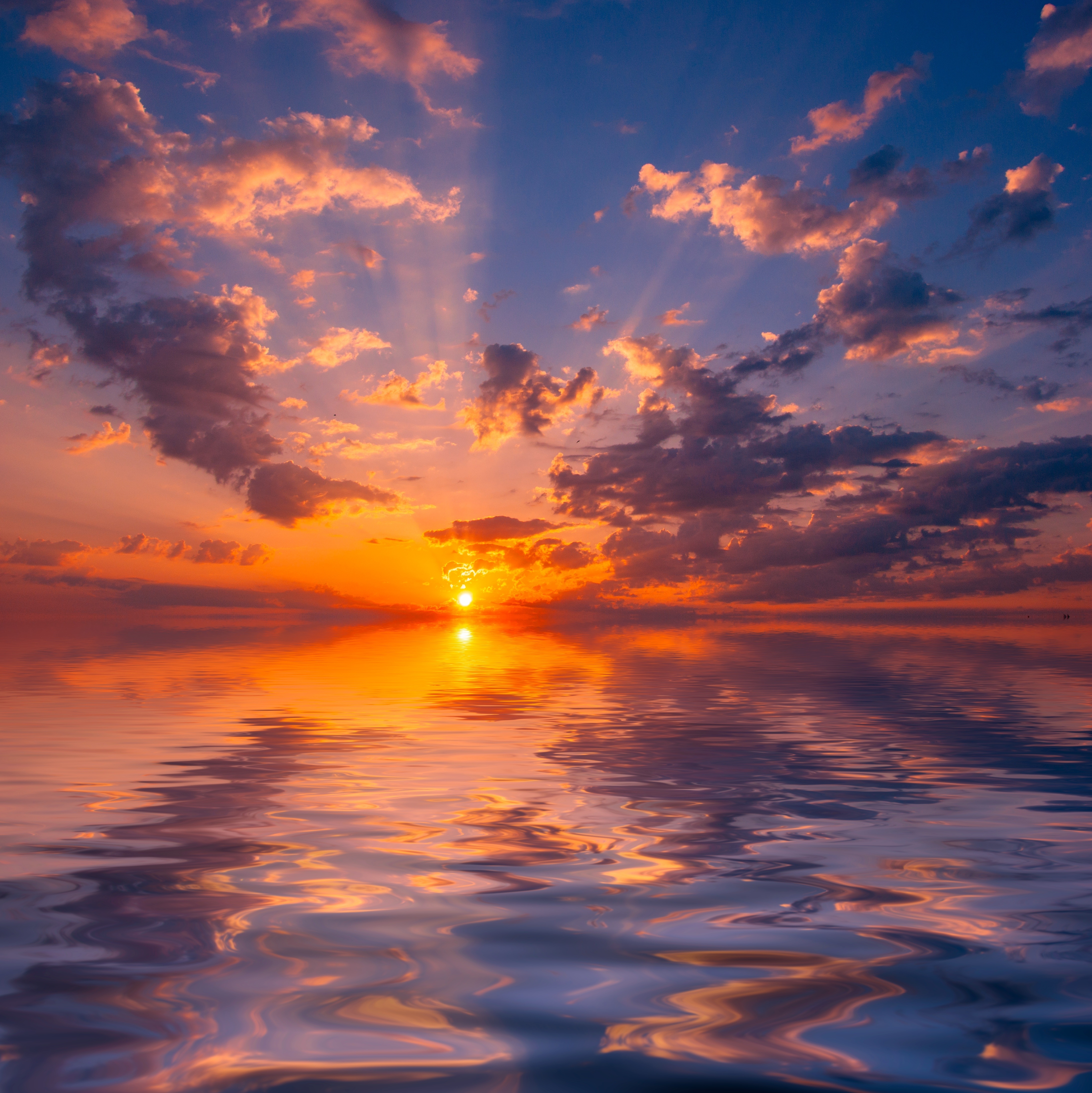 免费照片美丽的夕阳与风吹草动的大海