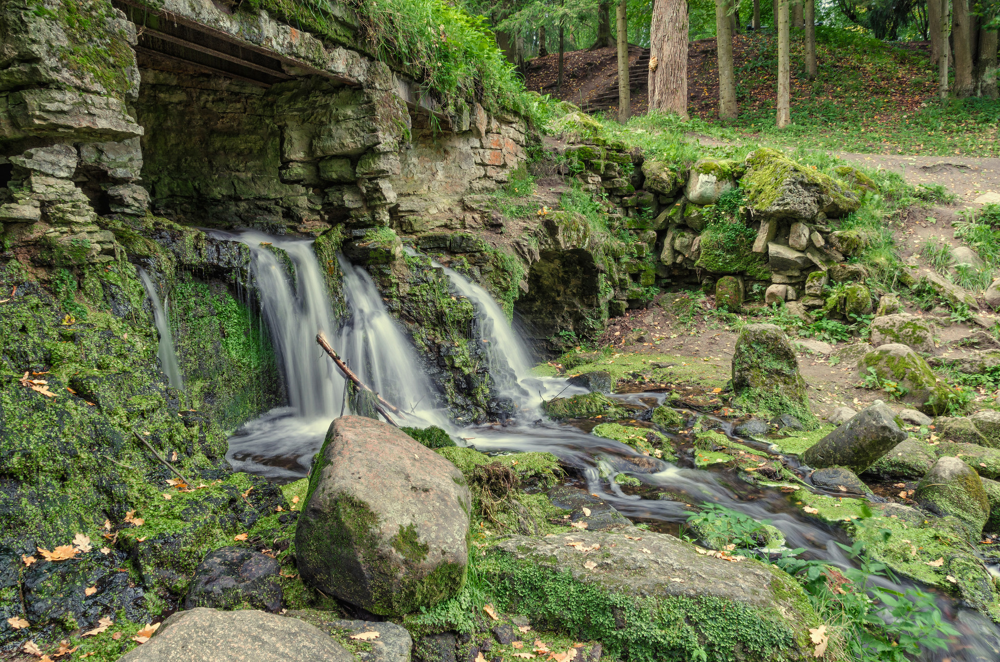 Wallpapers Pavlovsk Park Russia Saint-Petersburg bridge on the desktop