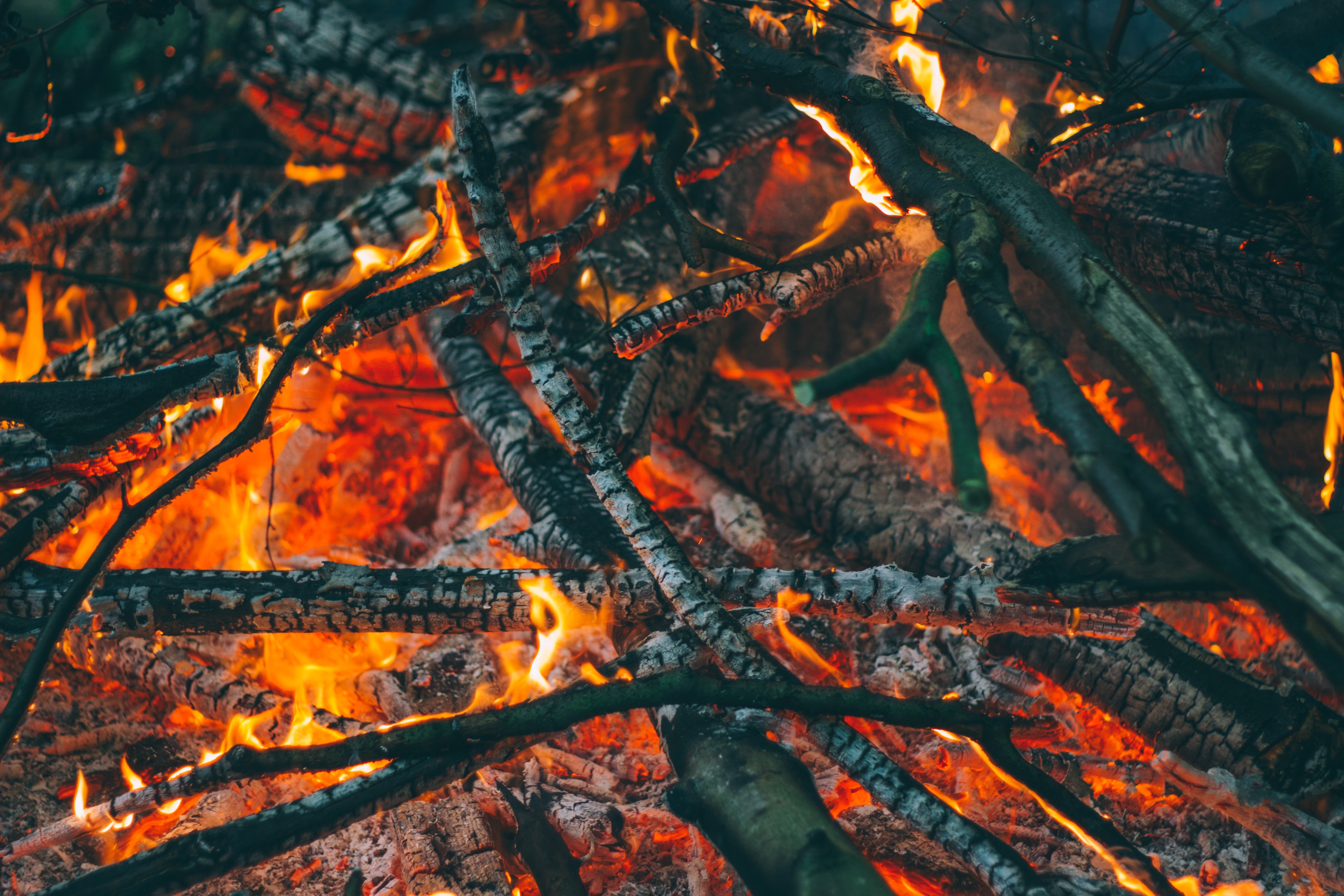 免费照片篝火中燃烧的树枝壁纸