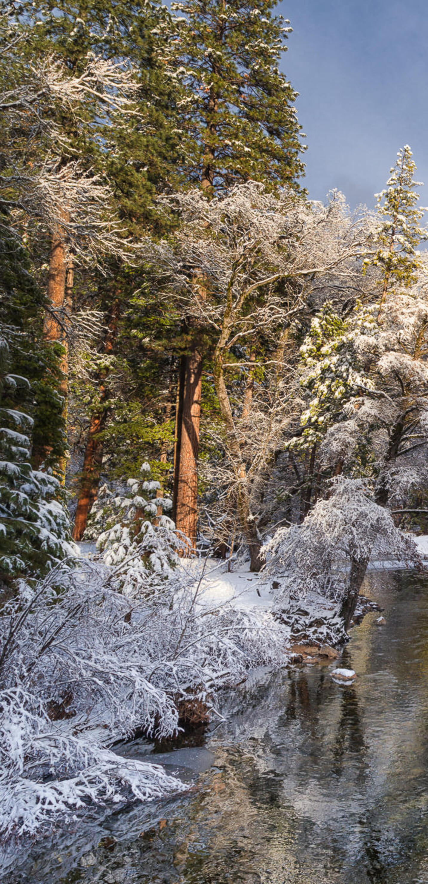 Покажи фото зимних пейзажей Покажи фото зимних пейзажей