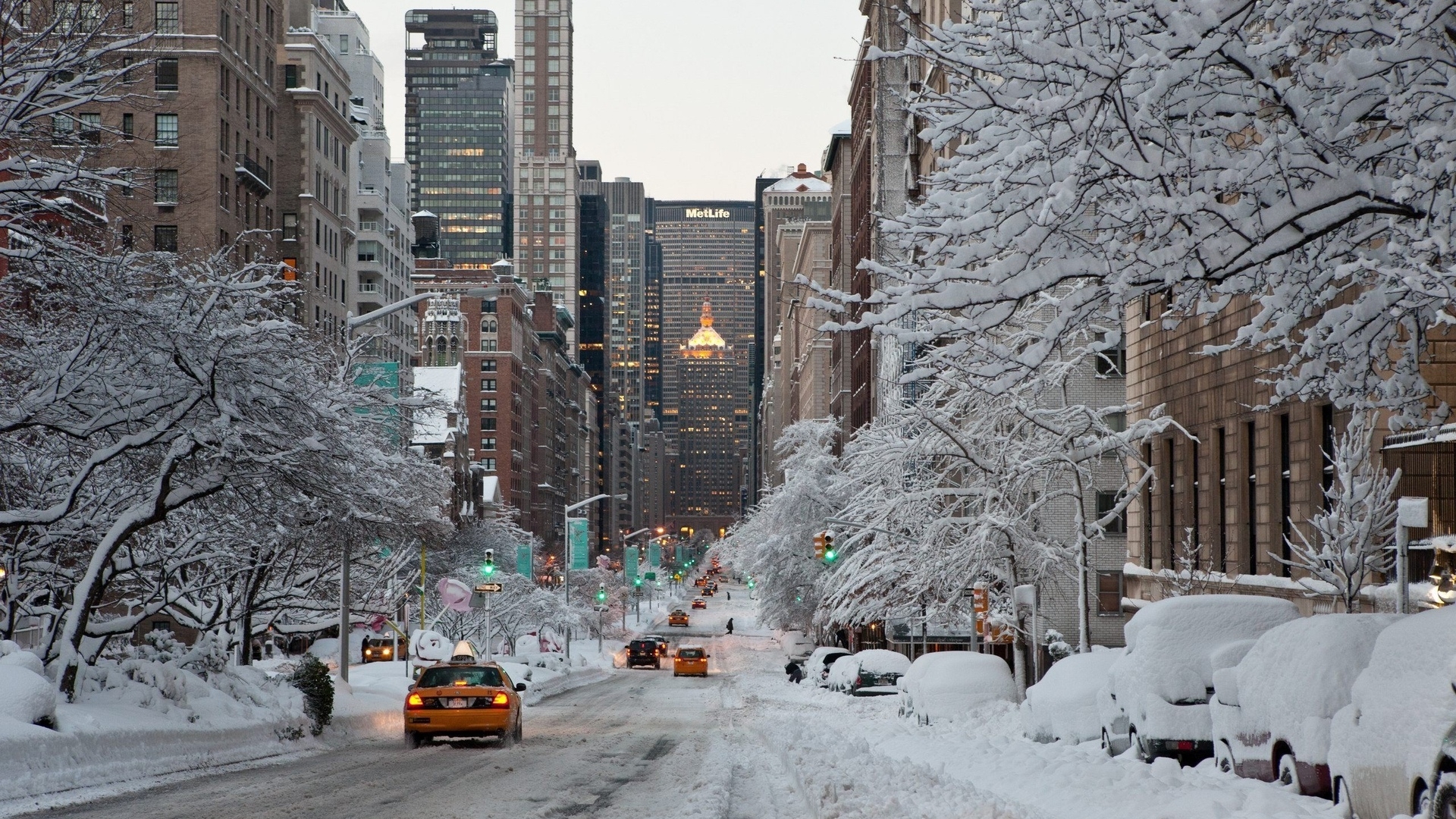 Free photo First snow in america